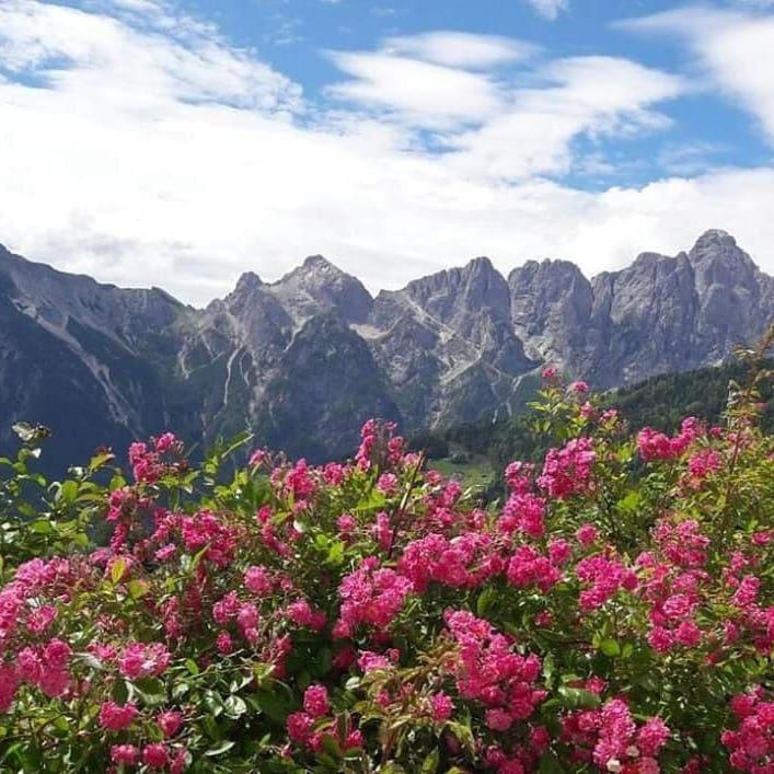 Haus Gobbis Transformational Retreat in the Dolomites view 4