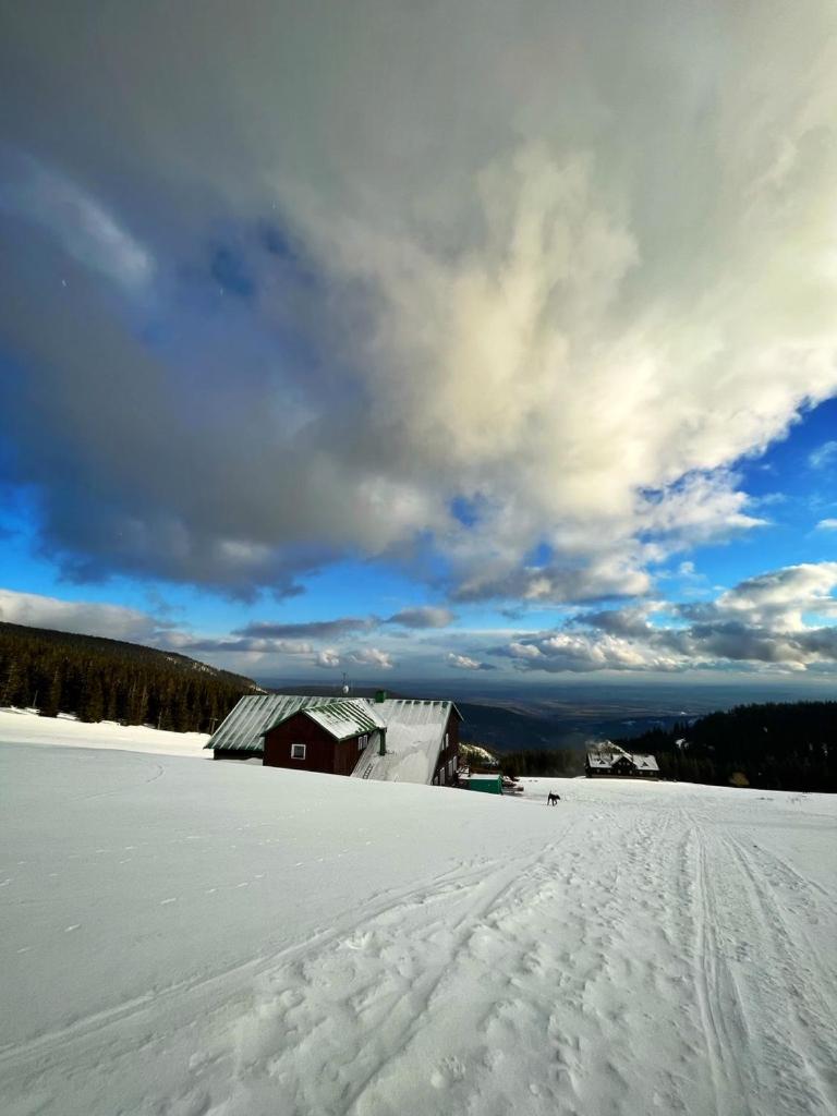 Horská bouda KUPROVKA