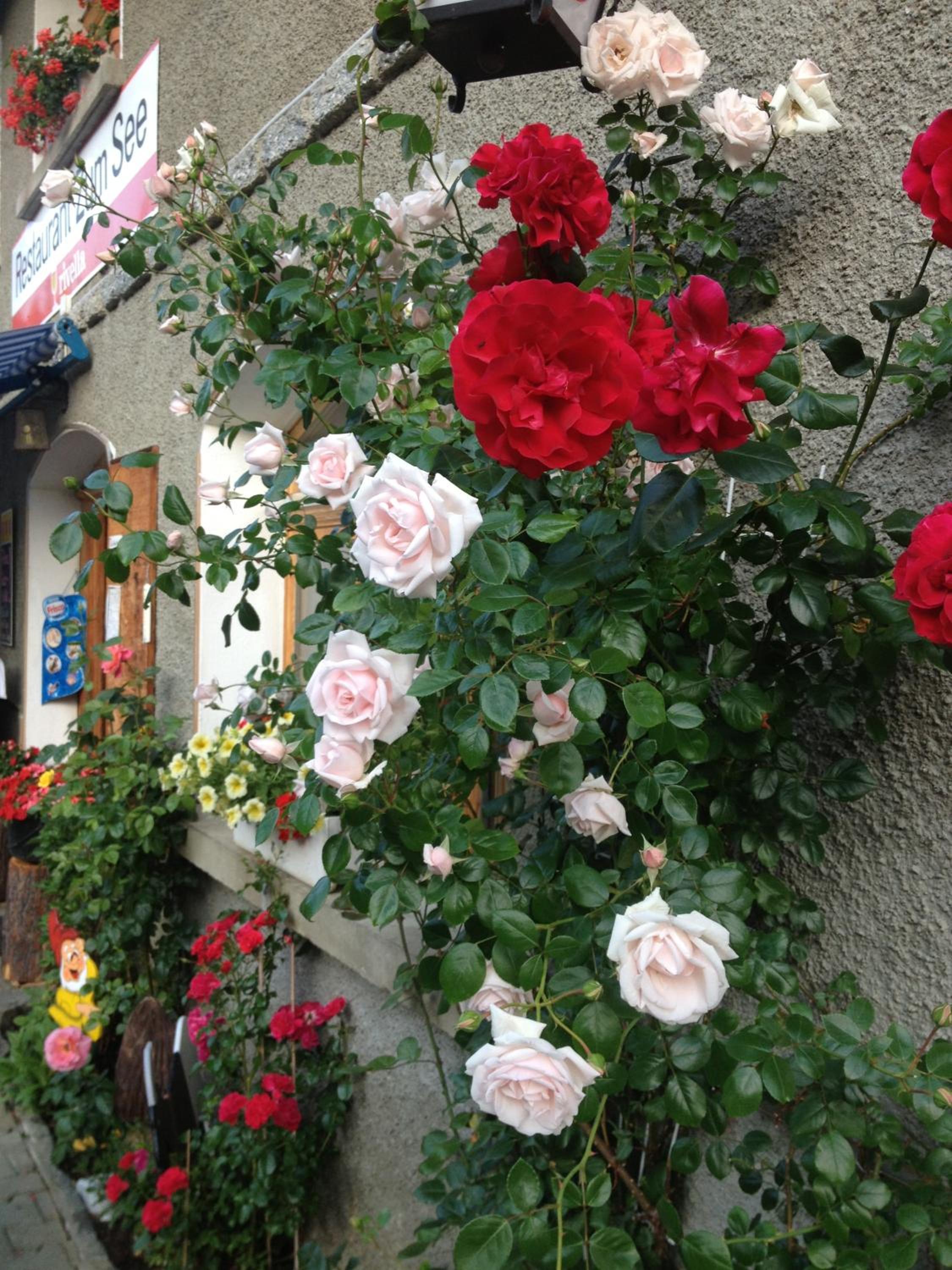 Pension Aaron am See