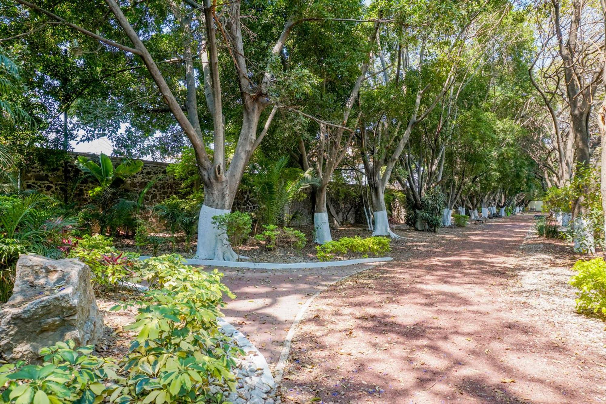 Bella Residencial Arco Antiguo Yautepec