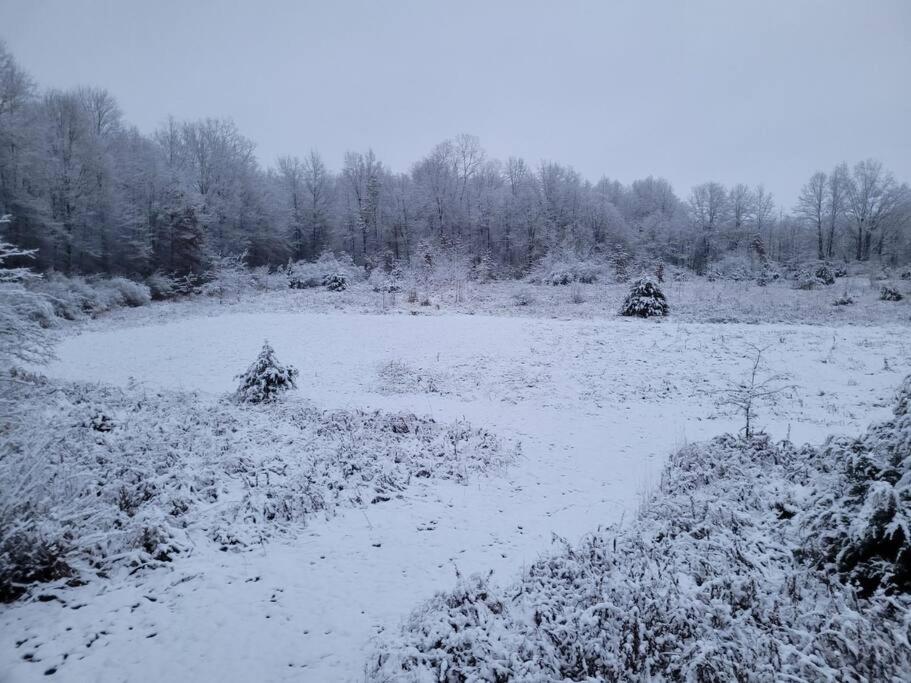 Photo 42
