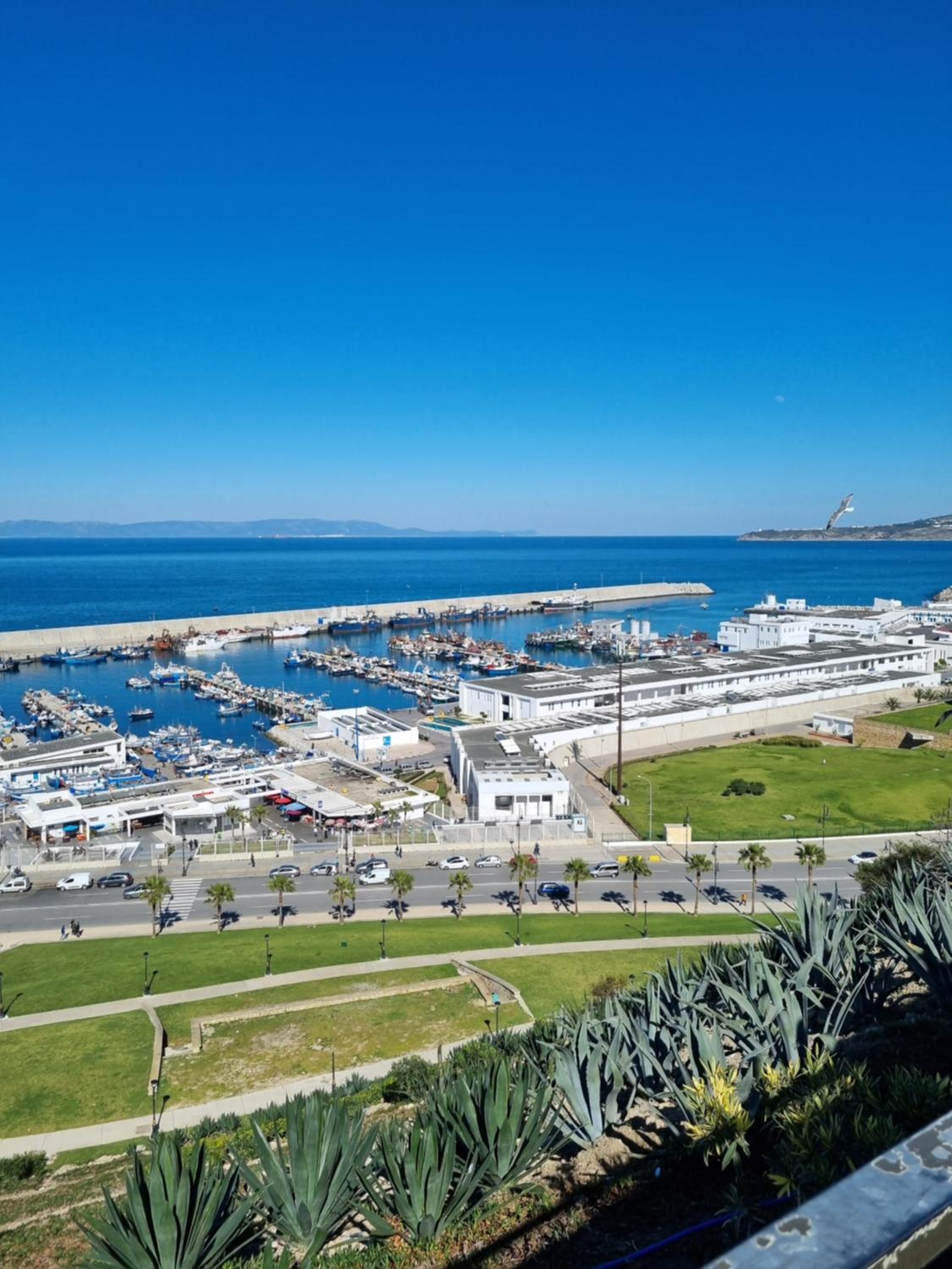 Tanger -Madina view 2