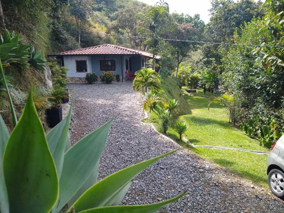 Cabaña la palma