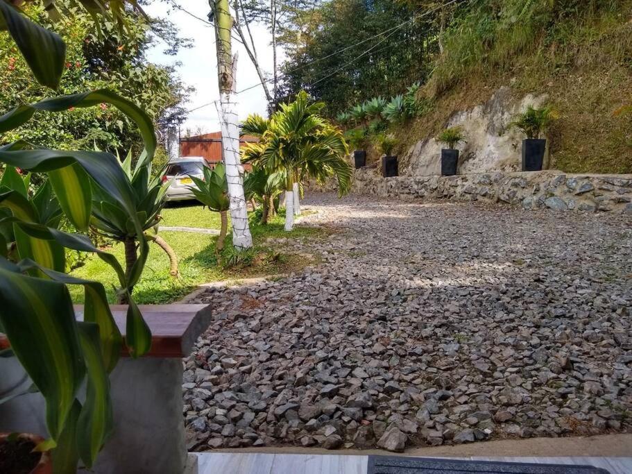 Cabaña la palma
