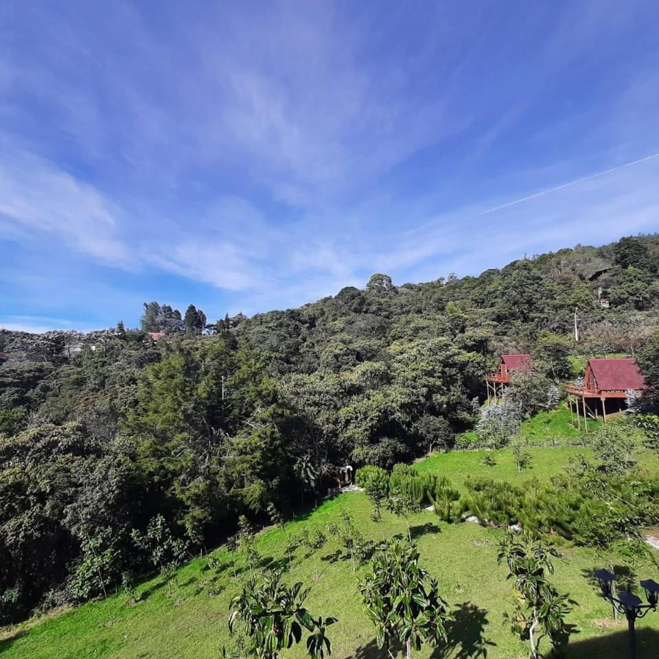 Chalets en Santa Elena en medio del Bosque