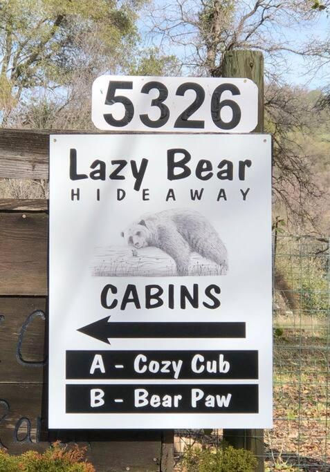 Bear Paw Cabin new construction near Yosemite view 5