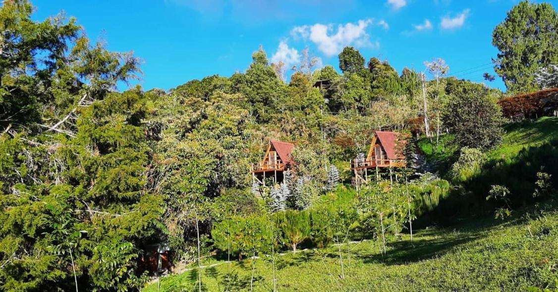 Chalets en Santa Elena en medio del Bosque