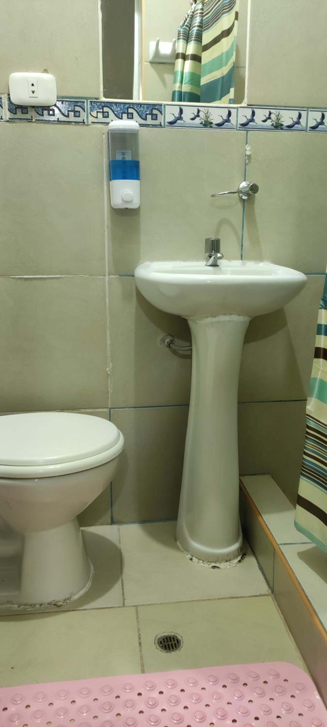 Photo 49