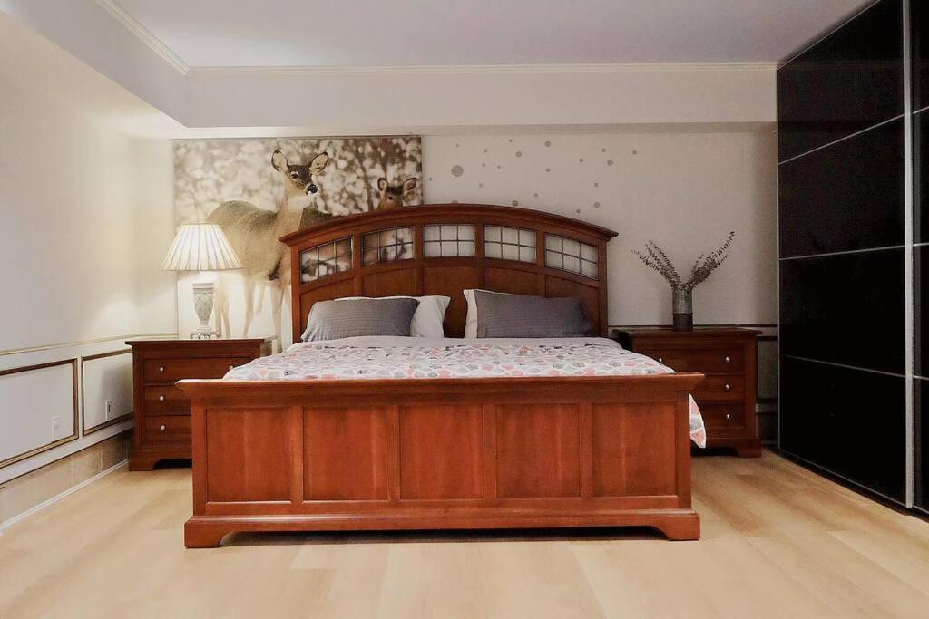 Tranquil And Spacious suite in Anmore