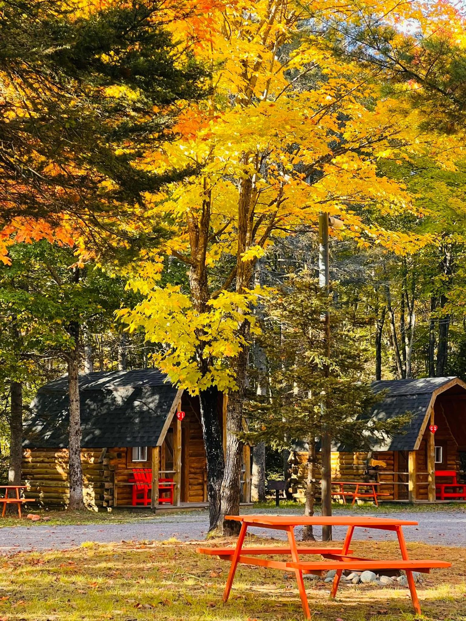 Glenview Cottages