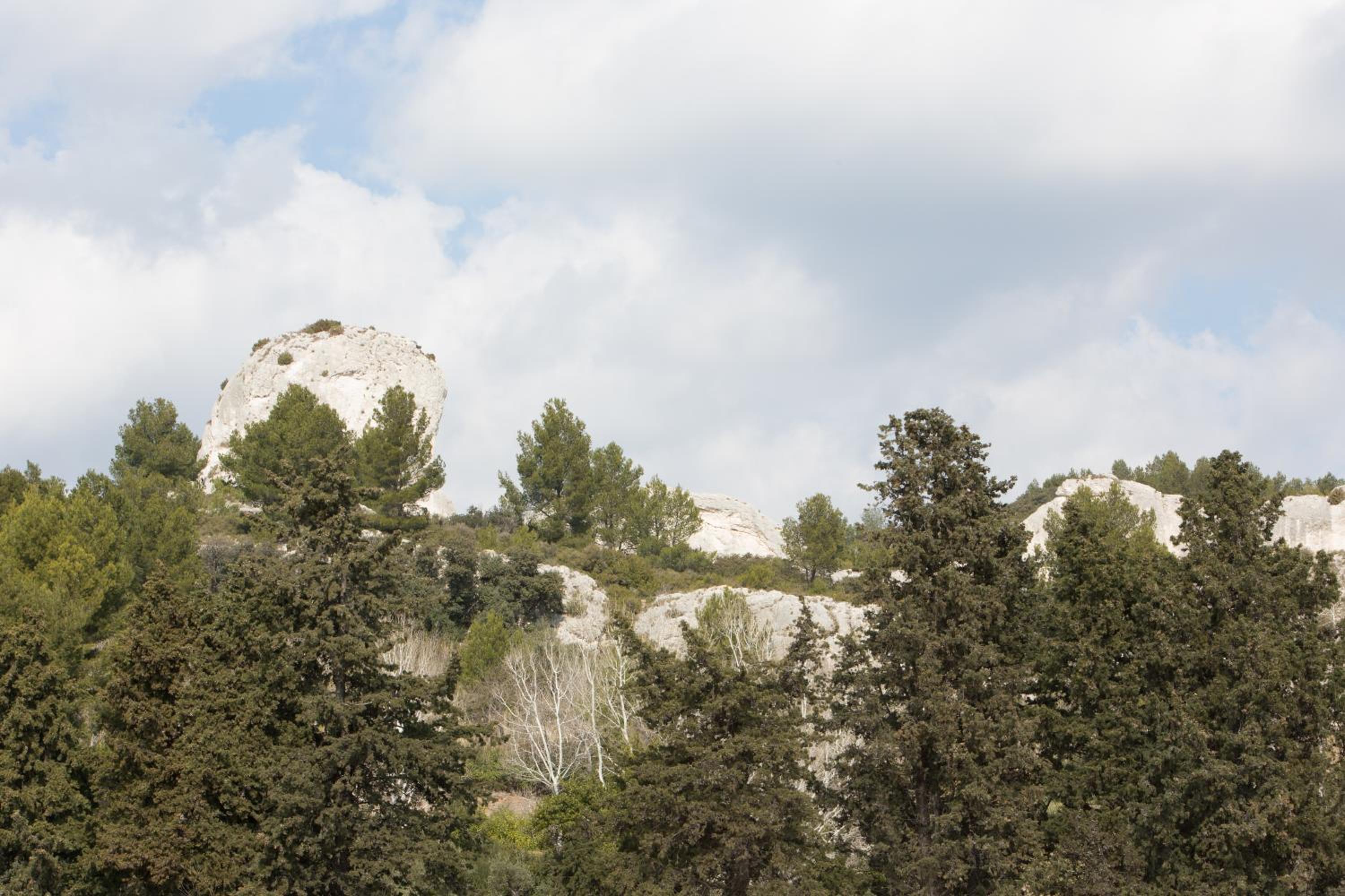 Domaine Mejan