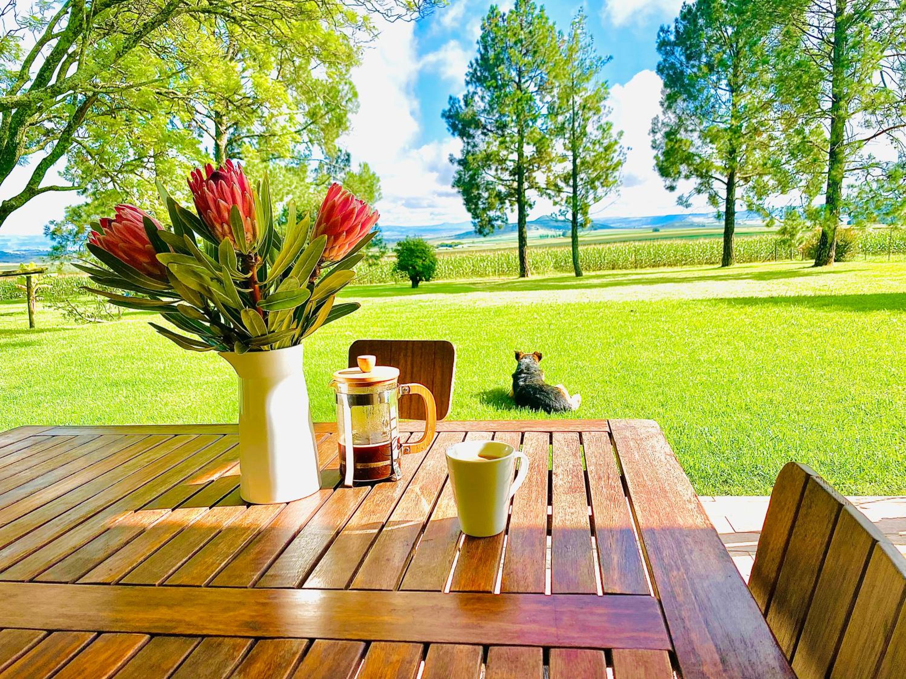 Bellevue Berg Cottage view 2