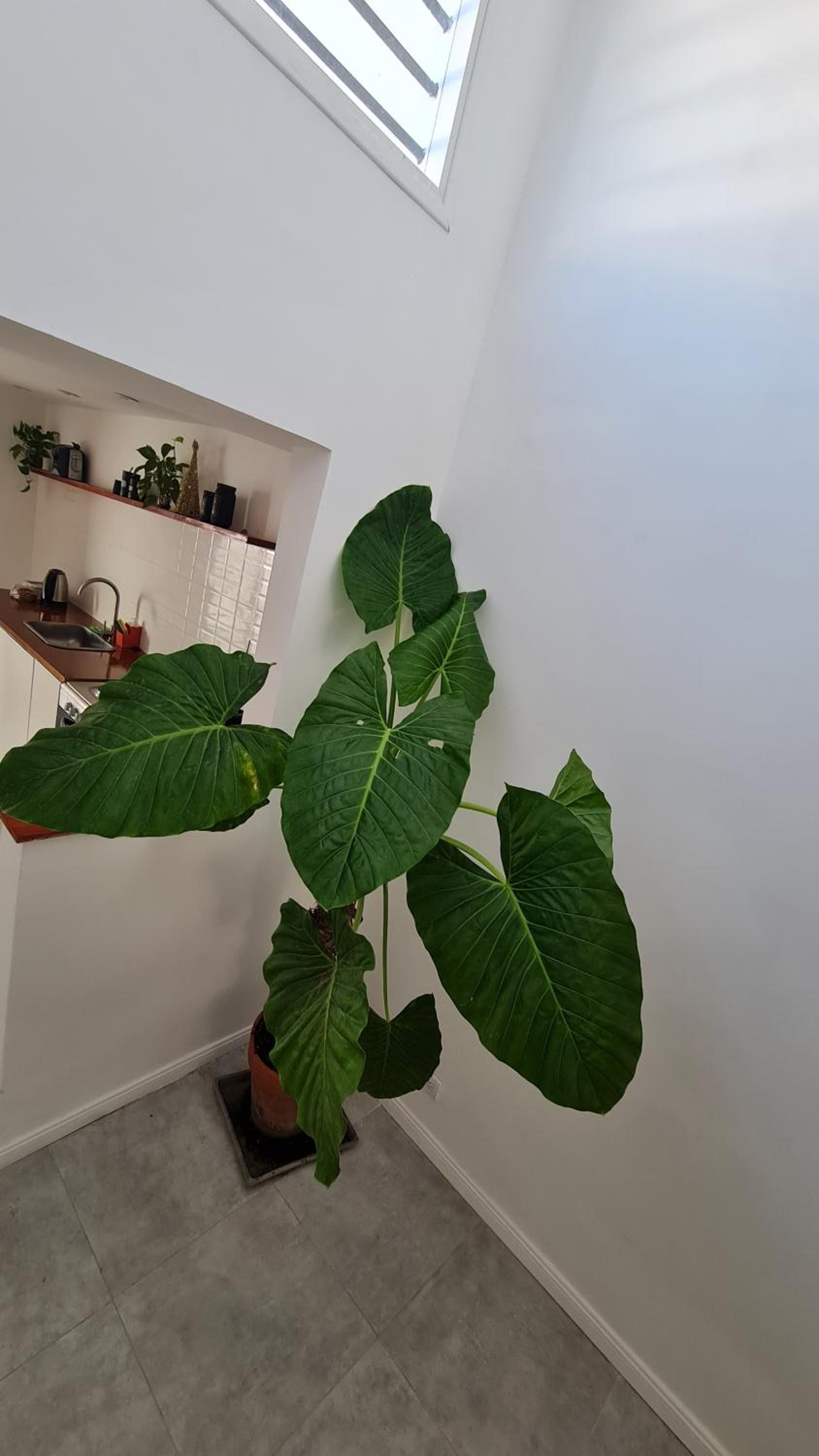 Casa a estrenar equipada para 4 personas