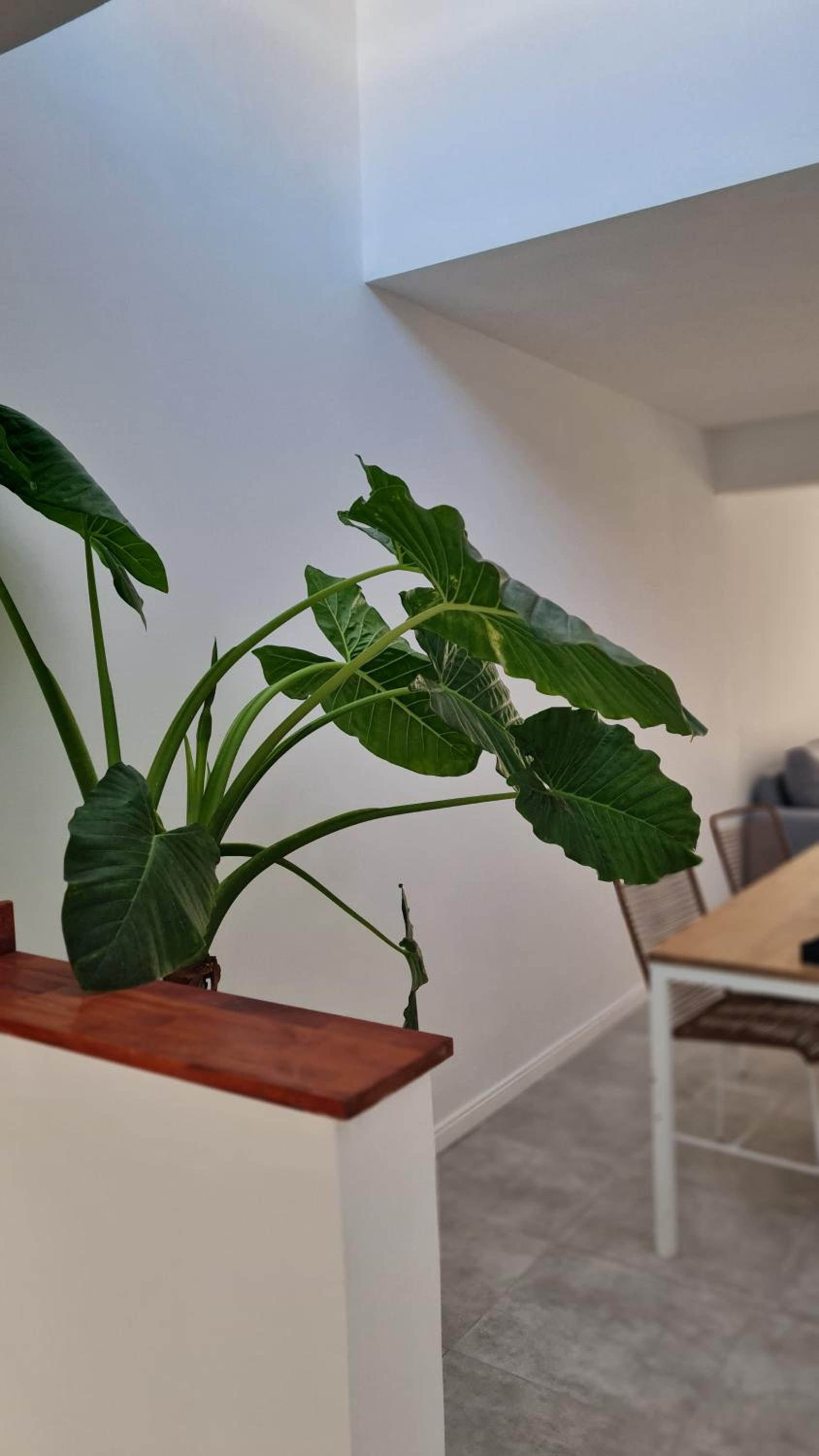 Casa a estrenar equipada para 4 personas