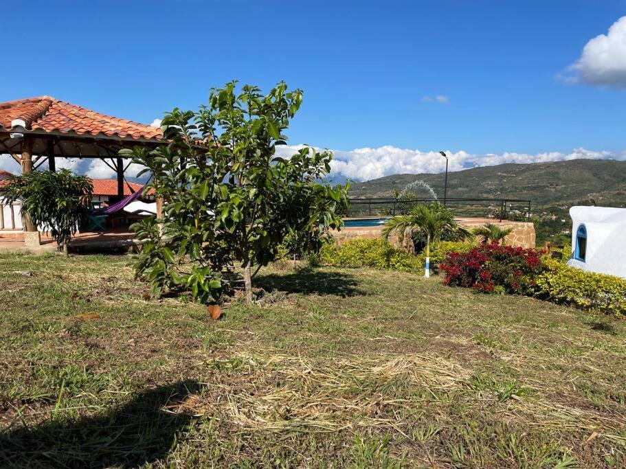 Casa campestre mediterraneo