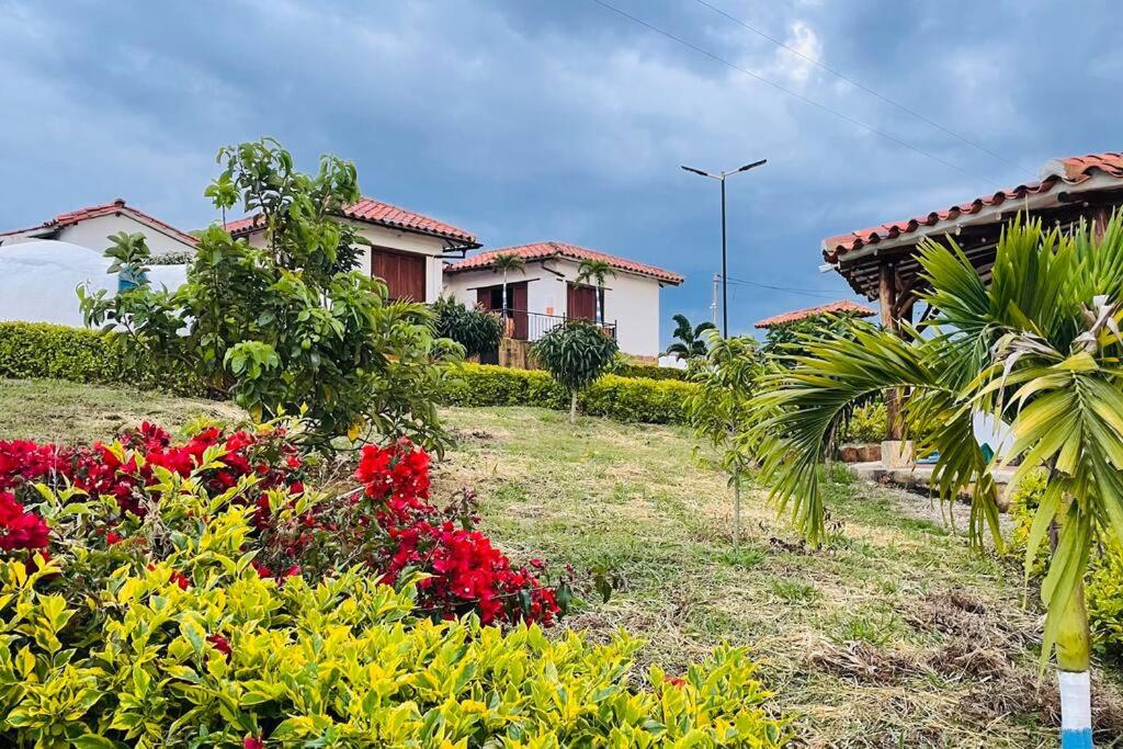 Casa campestre mediterraneo