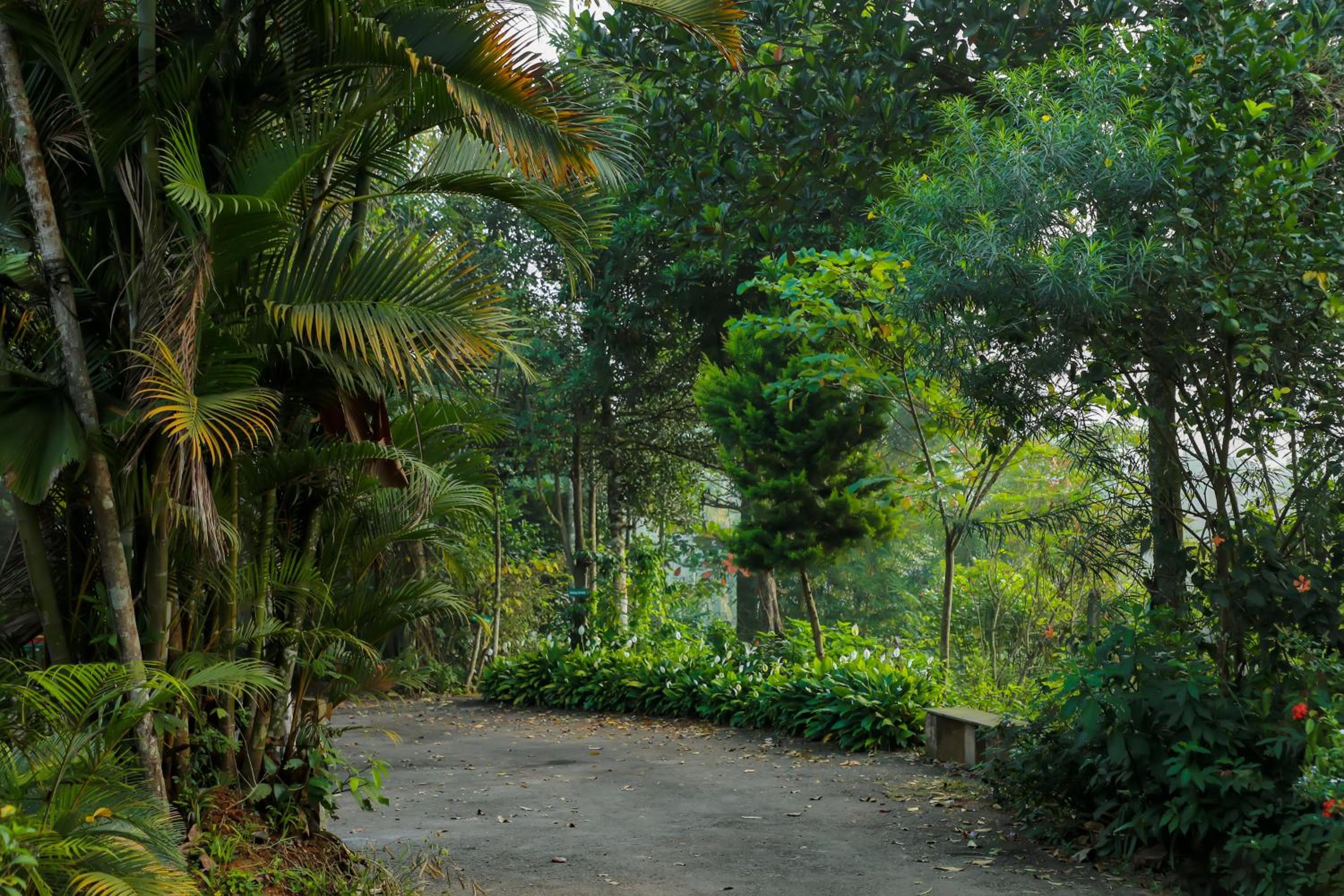 Photo 9