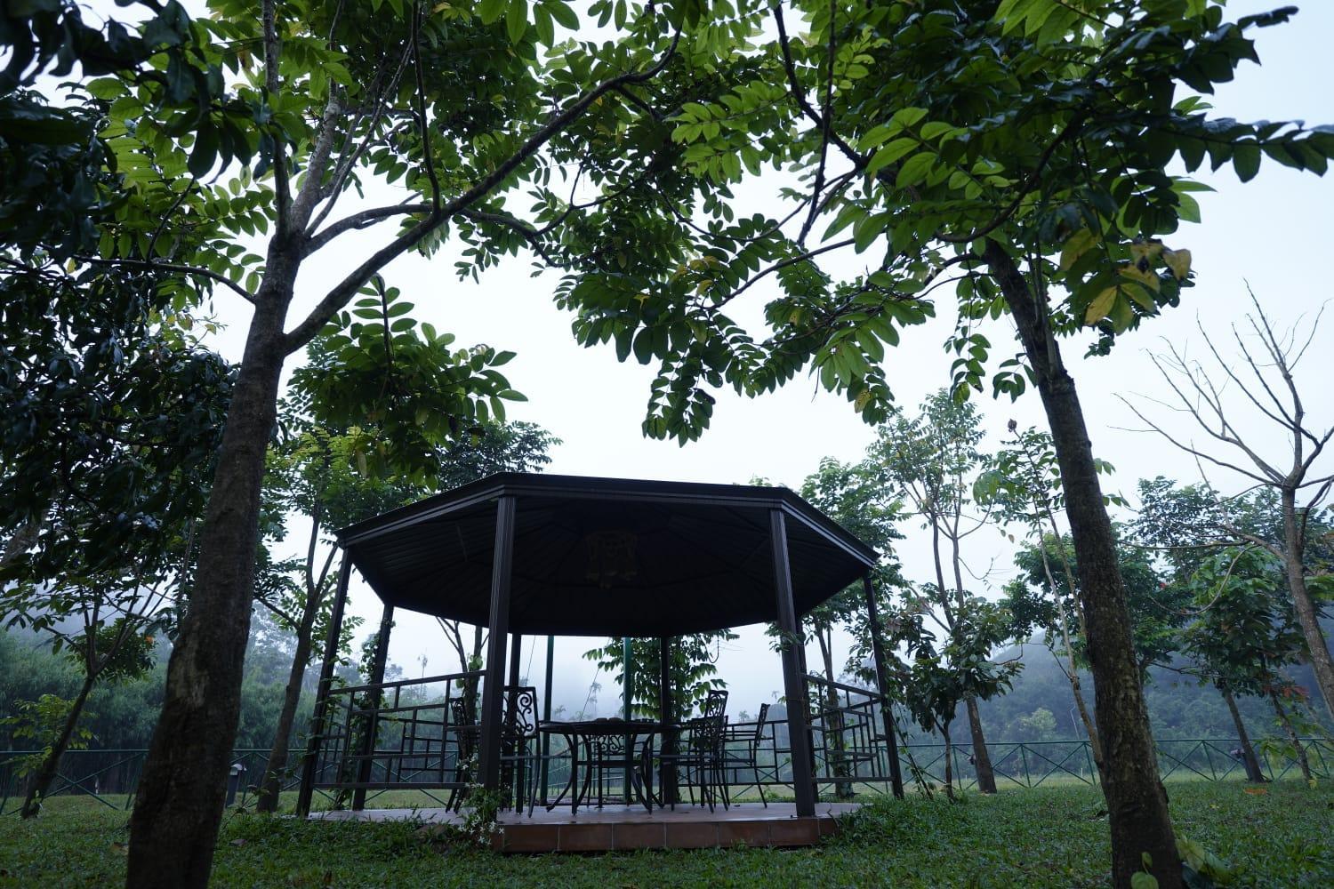 BARSATI Ranches