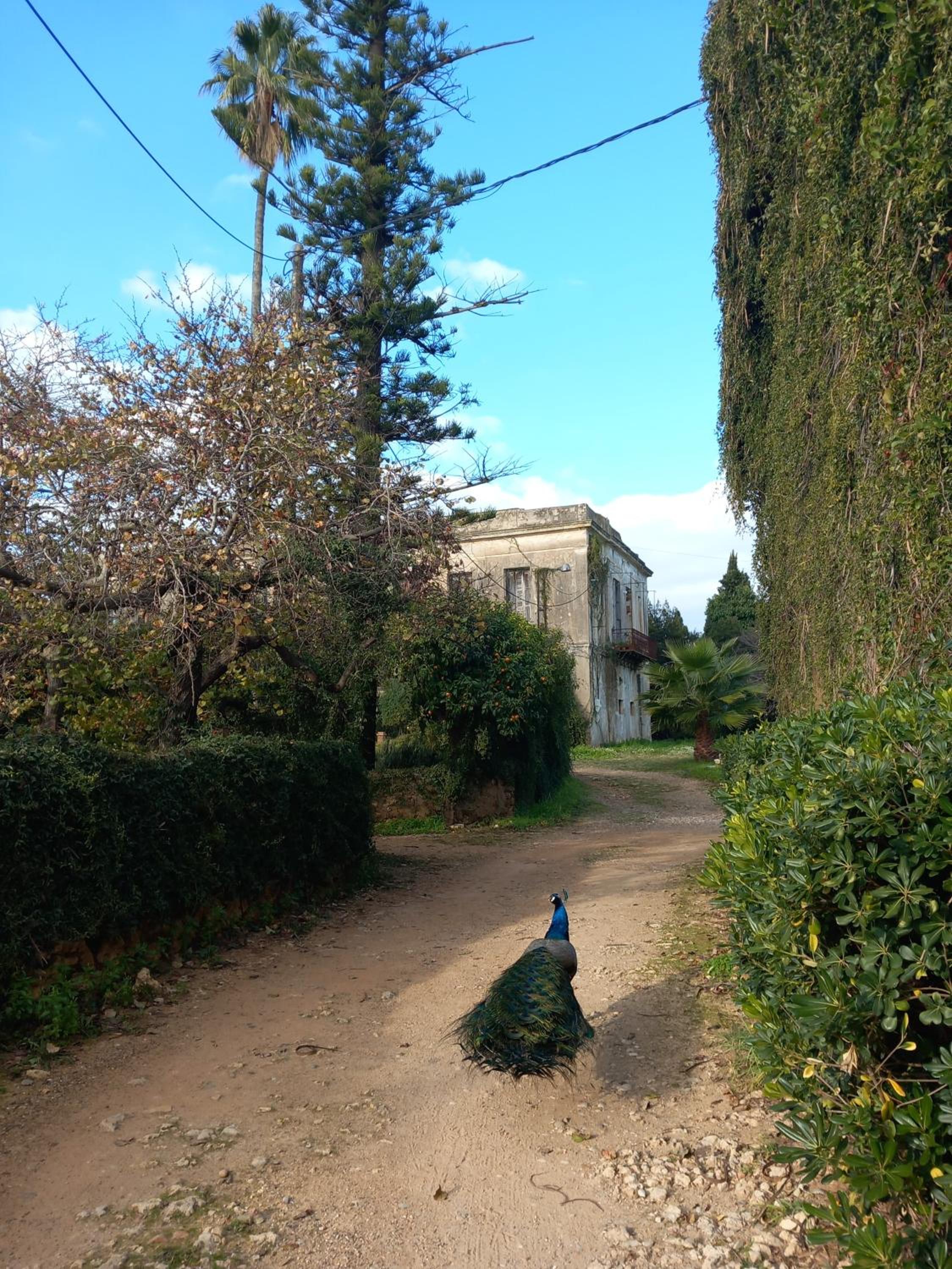 Villa Ilida