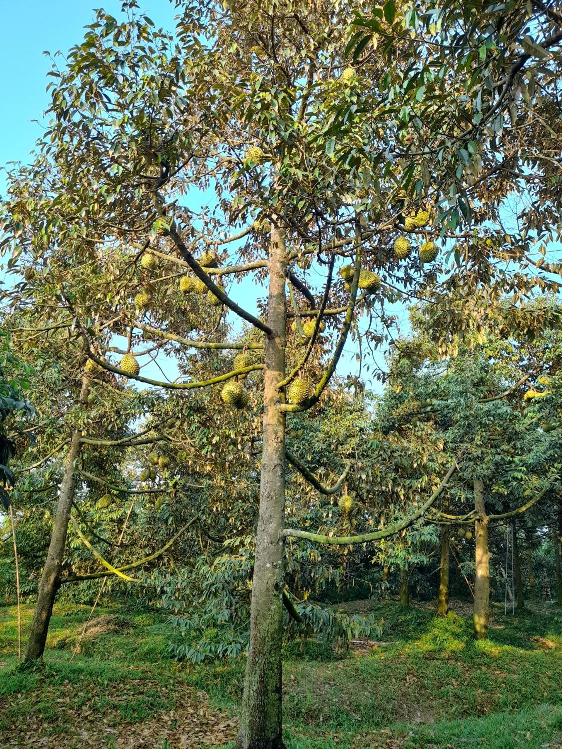 Photo 18
