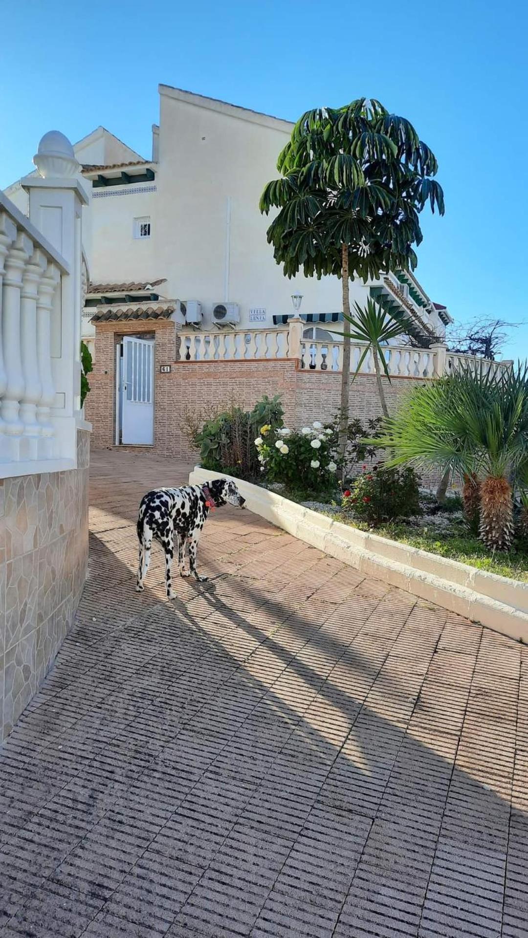 Villa Lenia