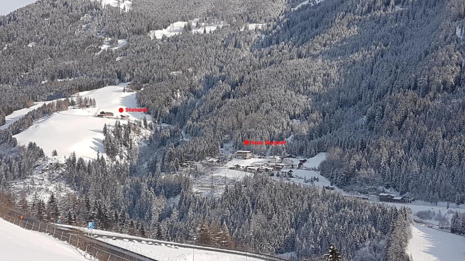 Steinhof