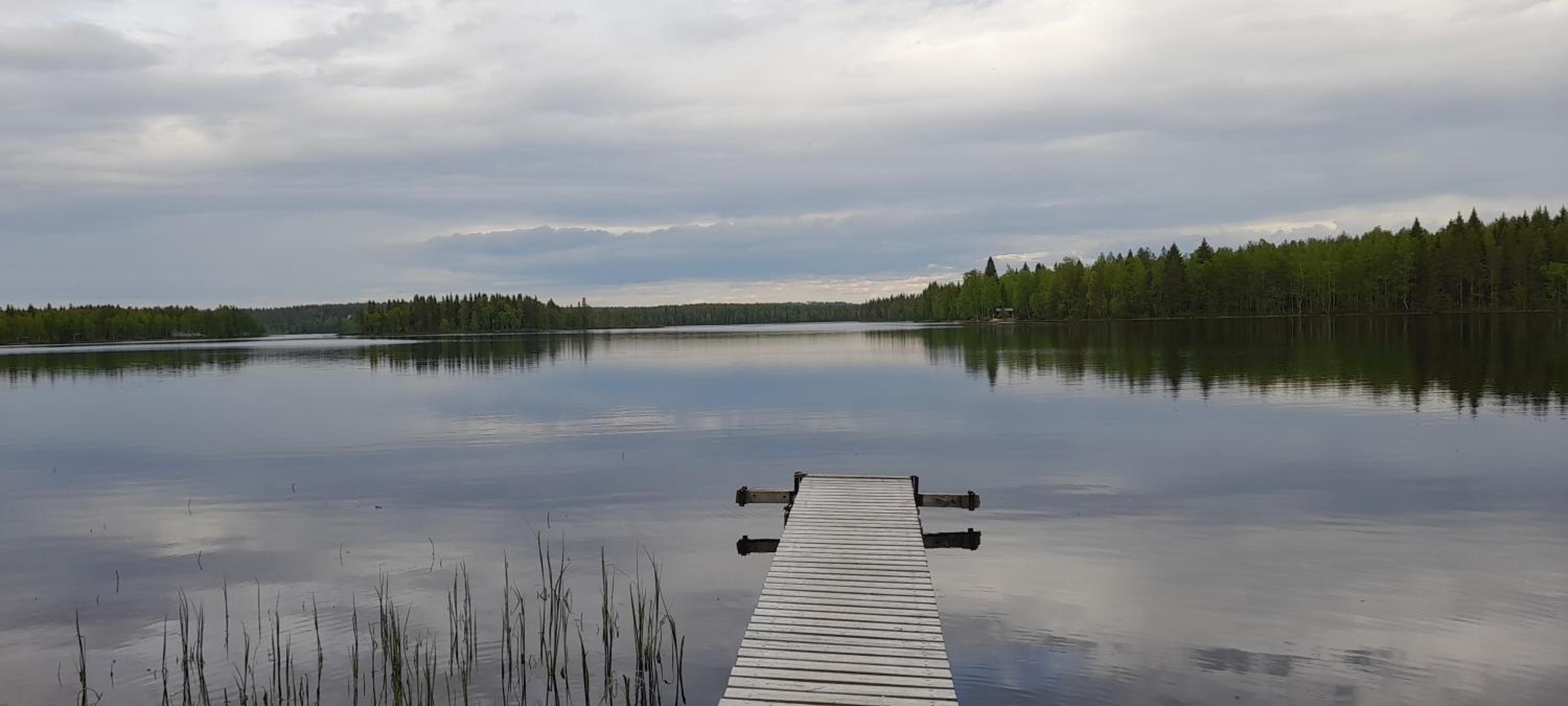 Huoneisto Koppelo