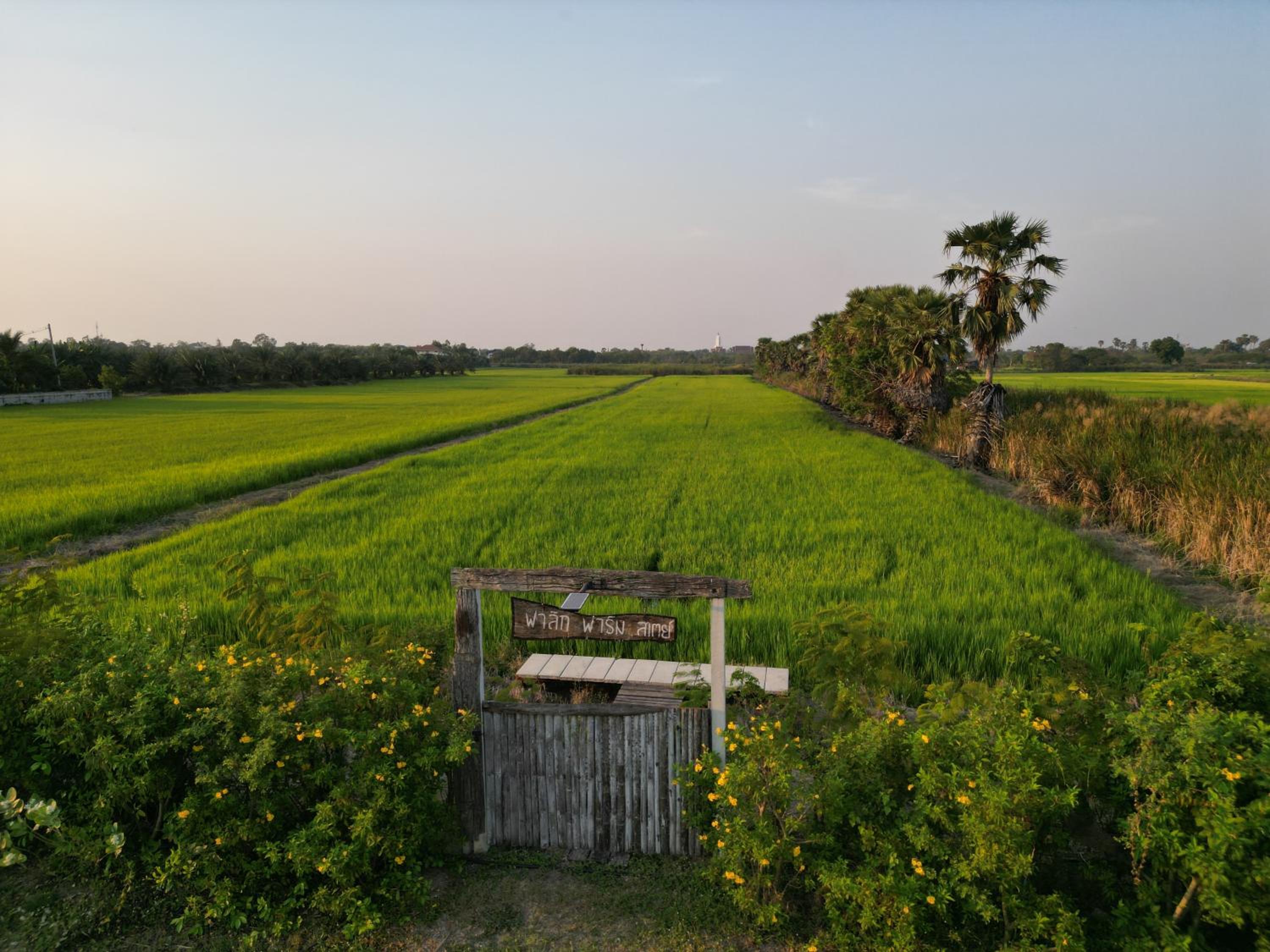 Falik Farm Stay