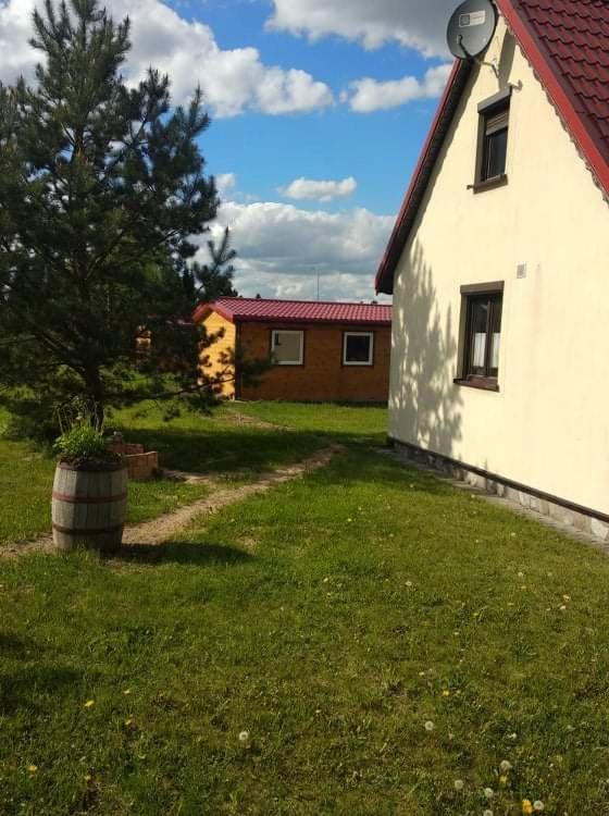 Photo 46