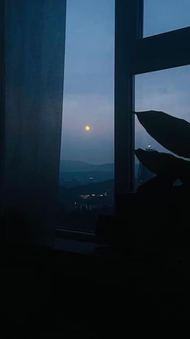 Harmonious and artistic apartment in Tbilisi view 5