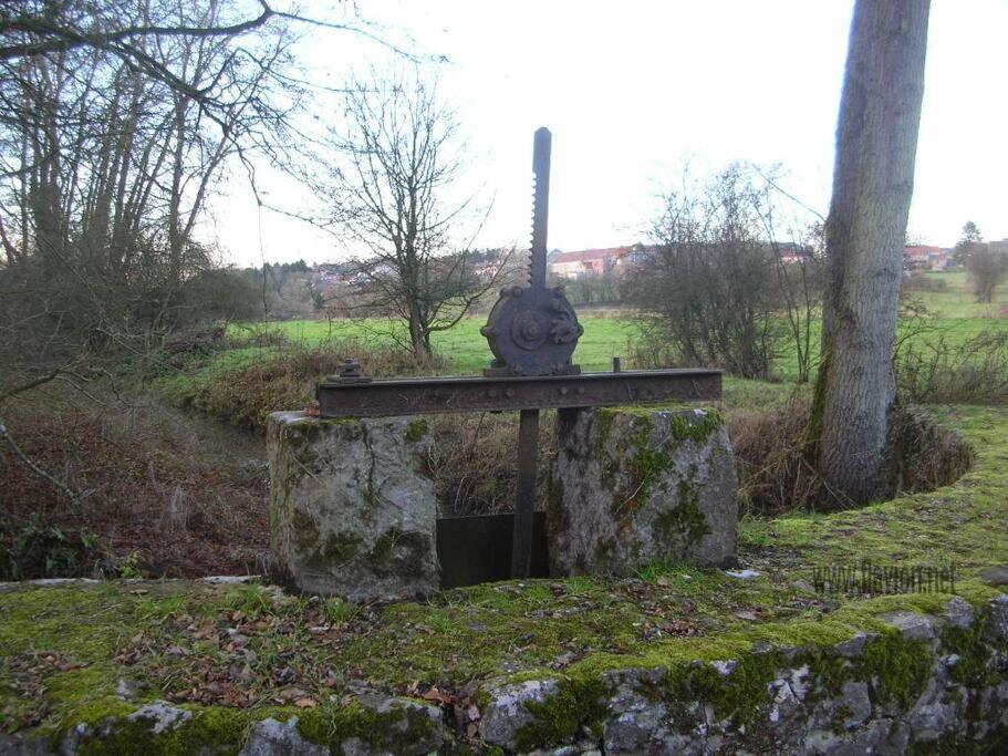 Le Floyon (avec piscine)