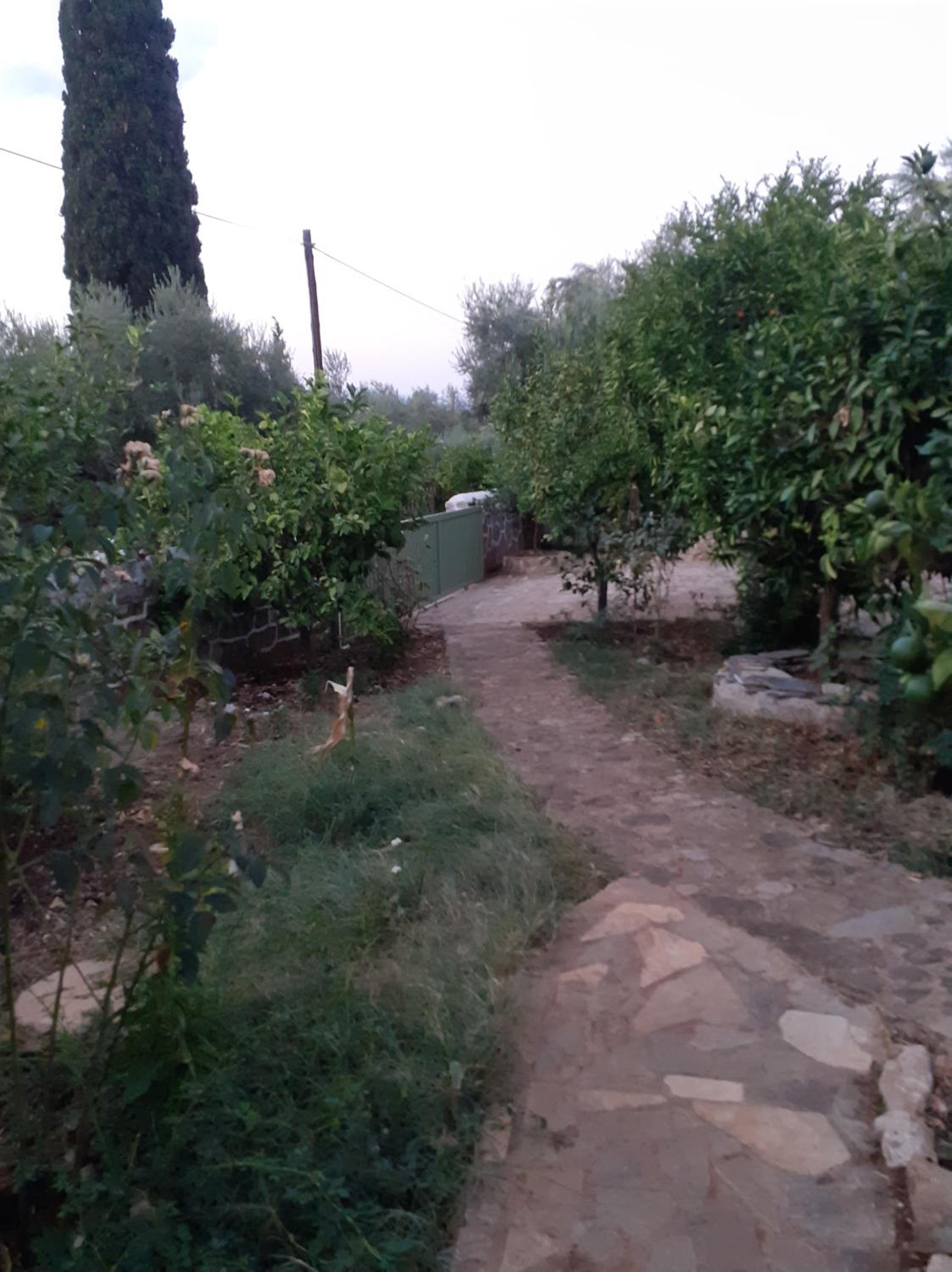 Photo 28