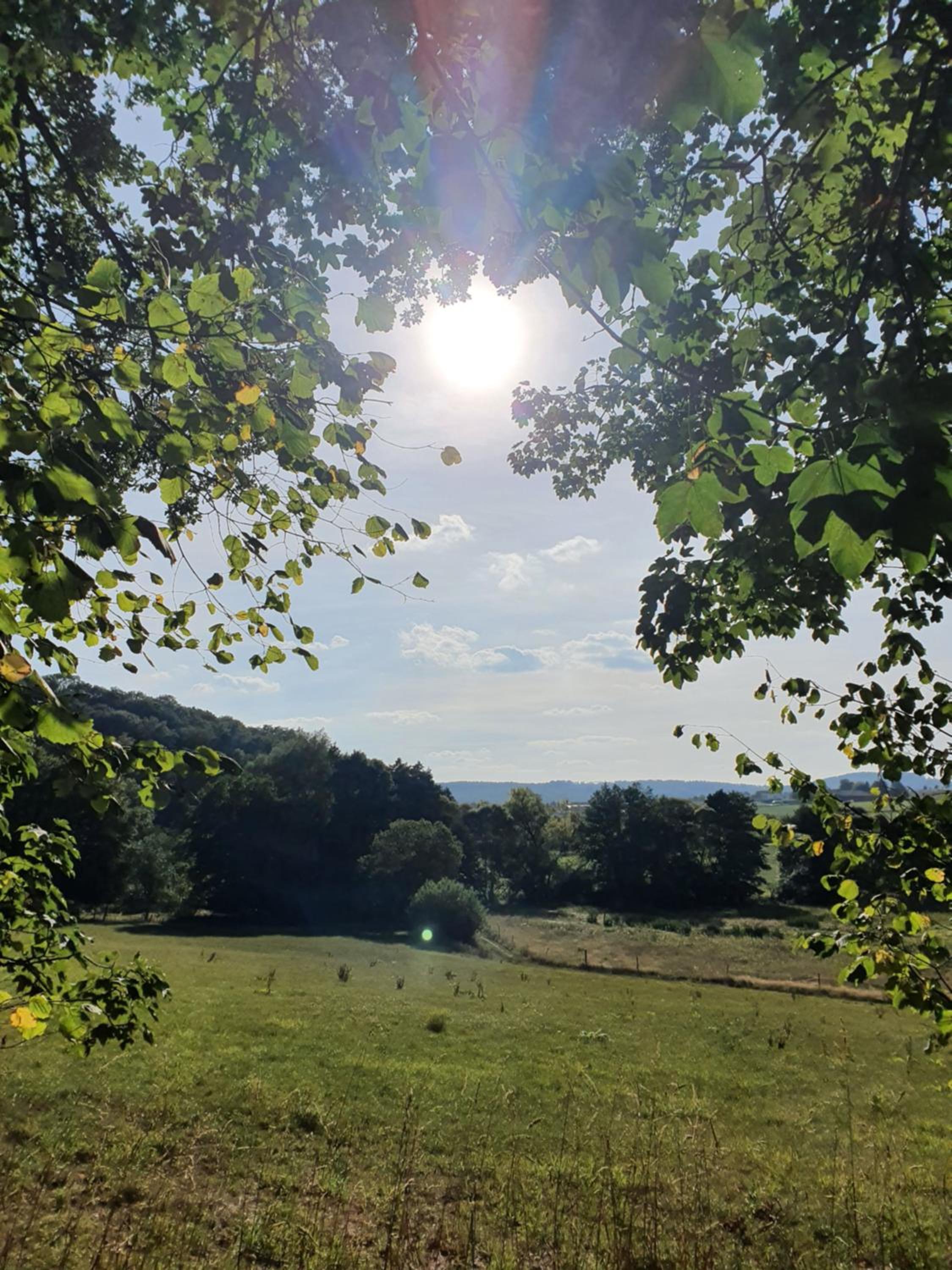 Fachwerk zum Entspannen, max. 3P