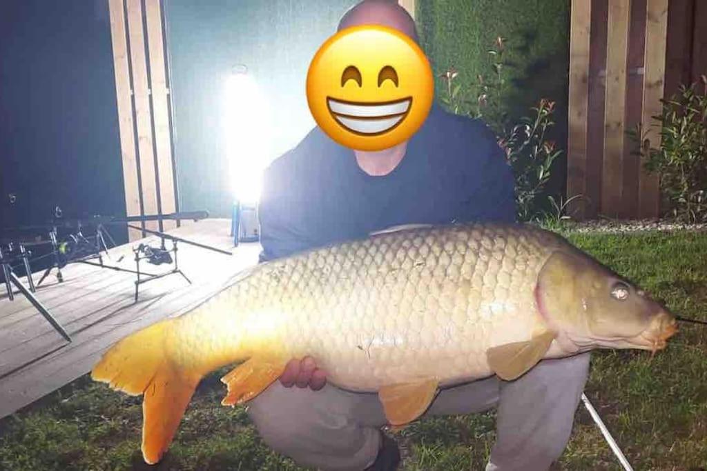DOMEGLAMPING at FISHINGLAKE