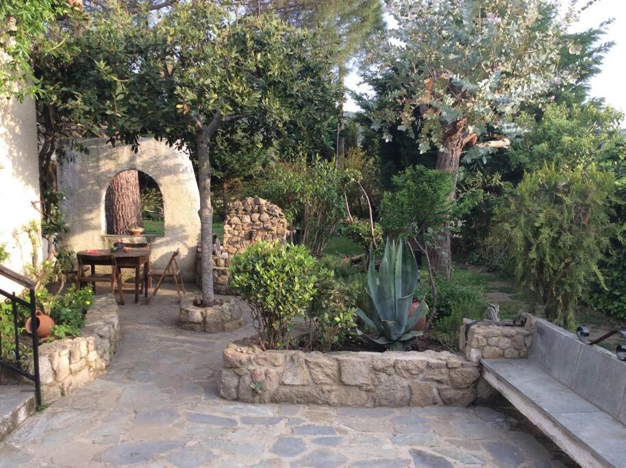 Cottage in Sykia beach view 2