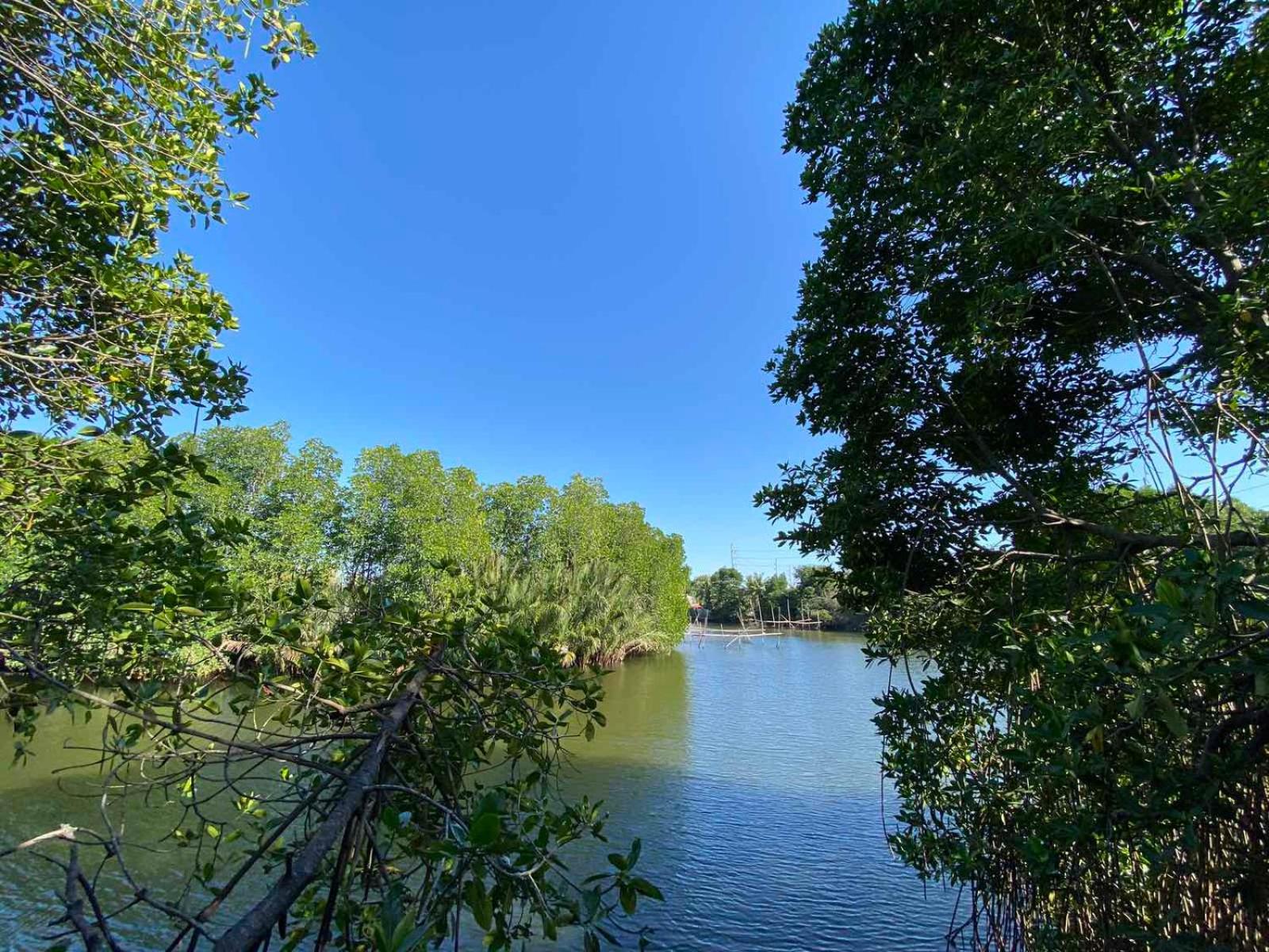 Rio Vista Bed and Breakfast view 4