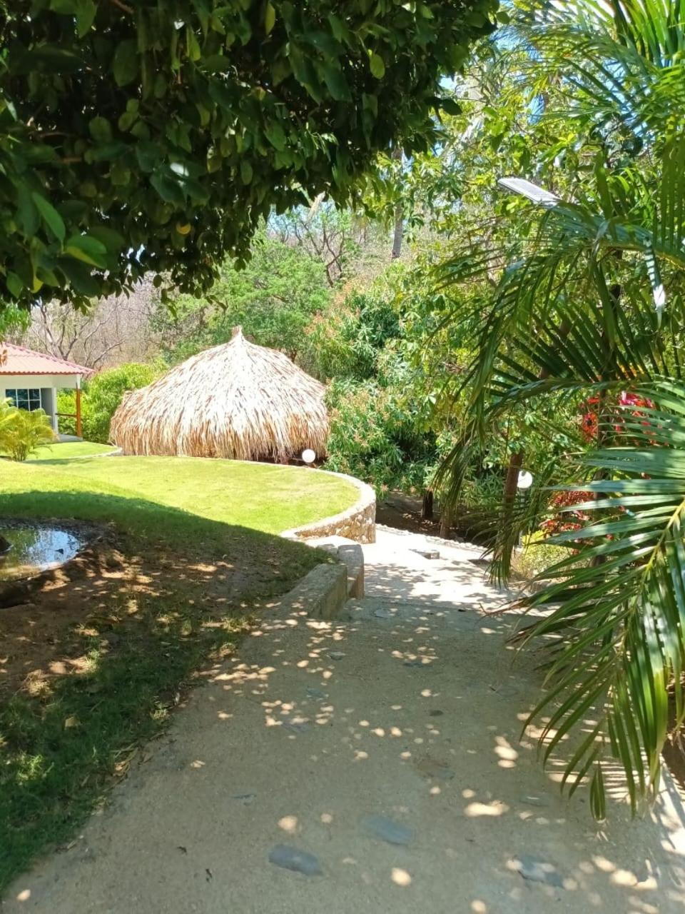 Photo 31