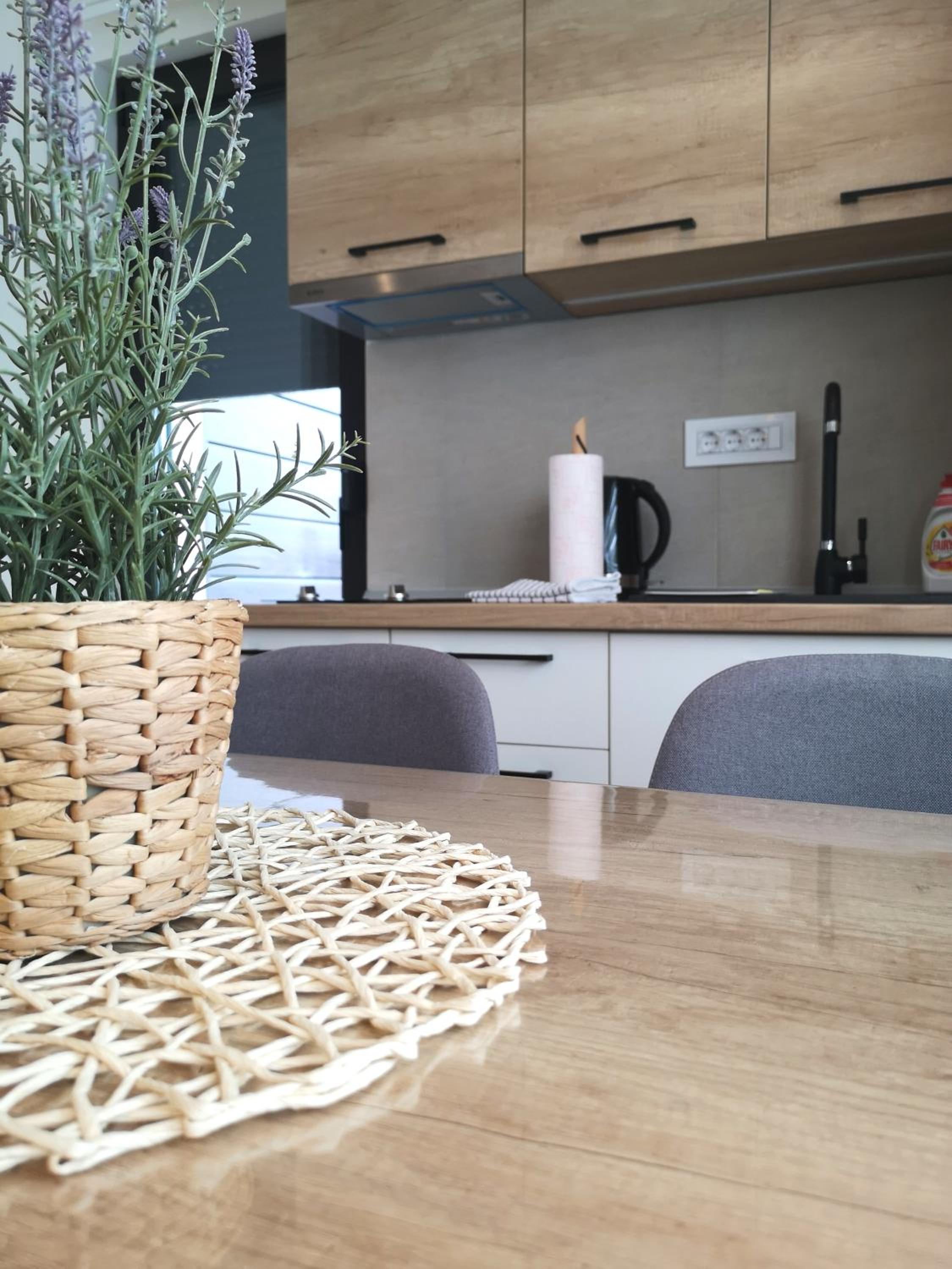 Dina Apartment Zlatibor