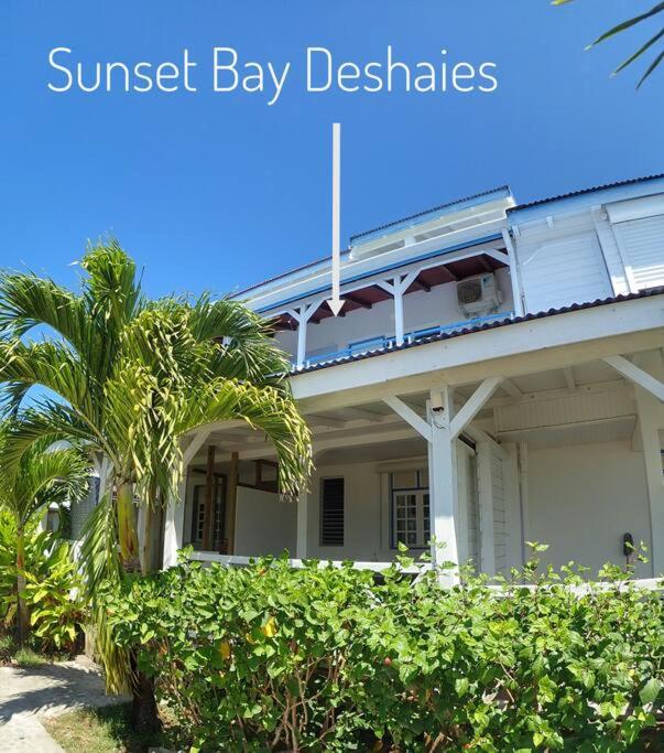 Studio Sunset Bay Deshaies view 2