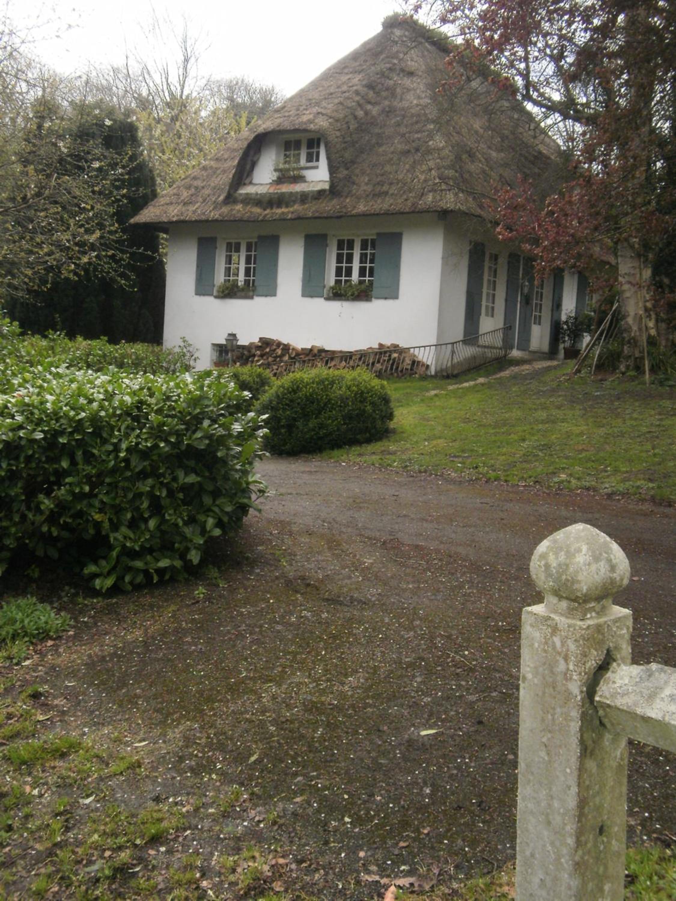 Photo 21