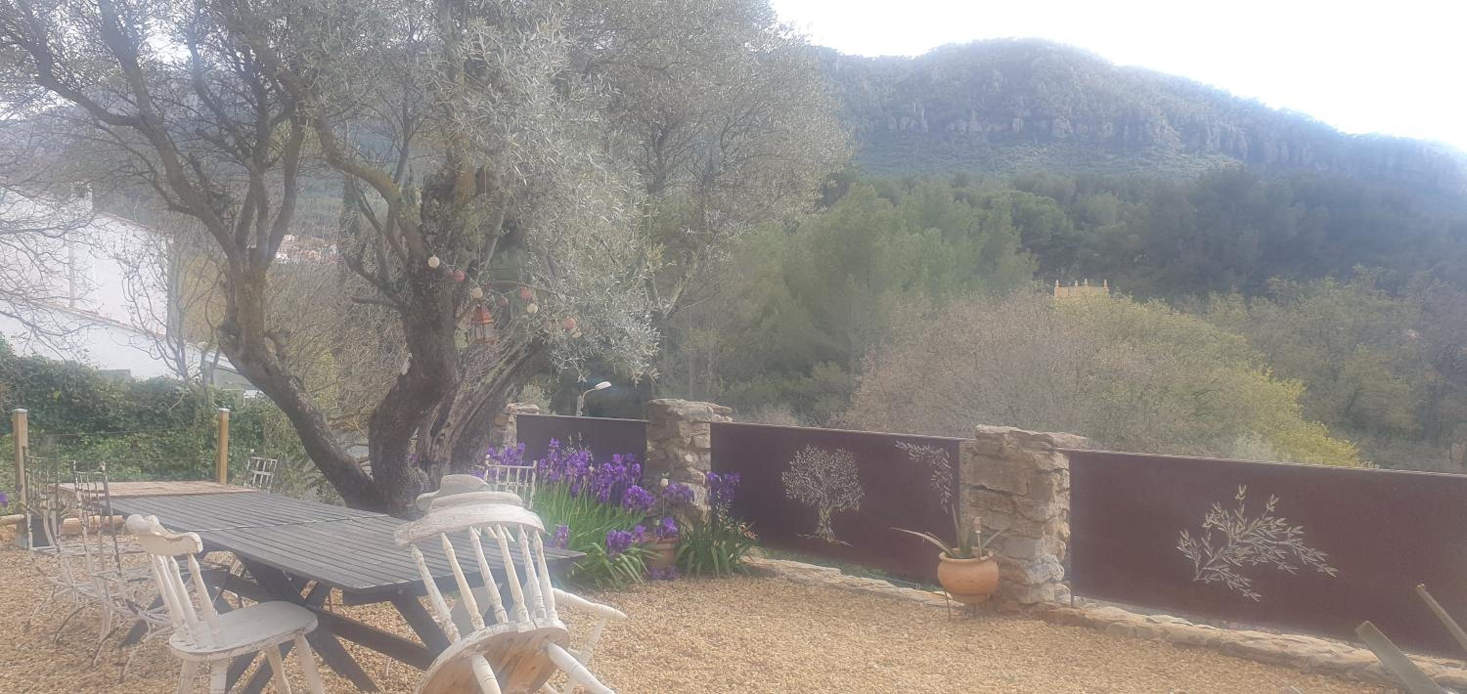 BIENVENUE, photo 23