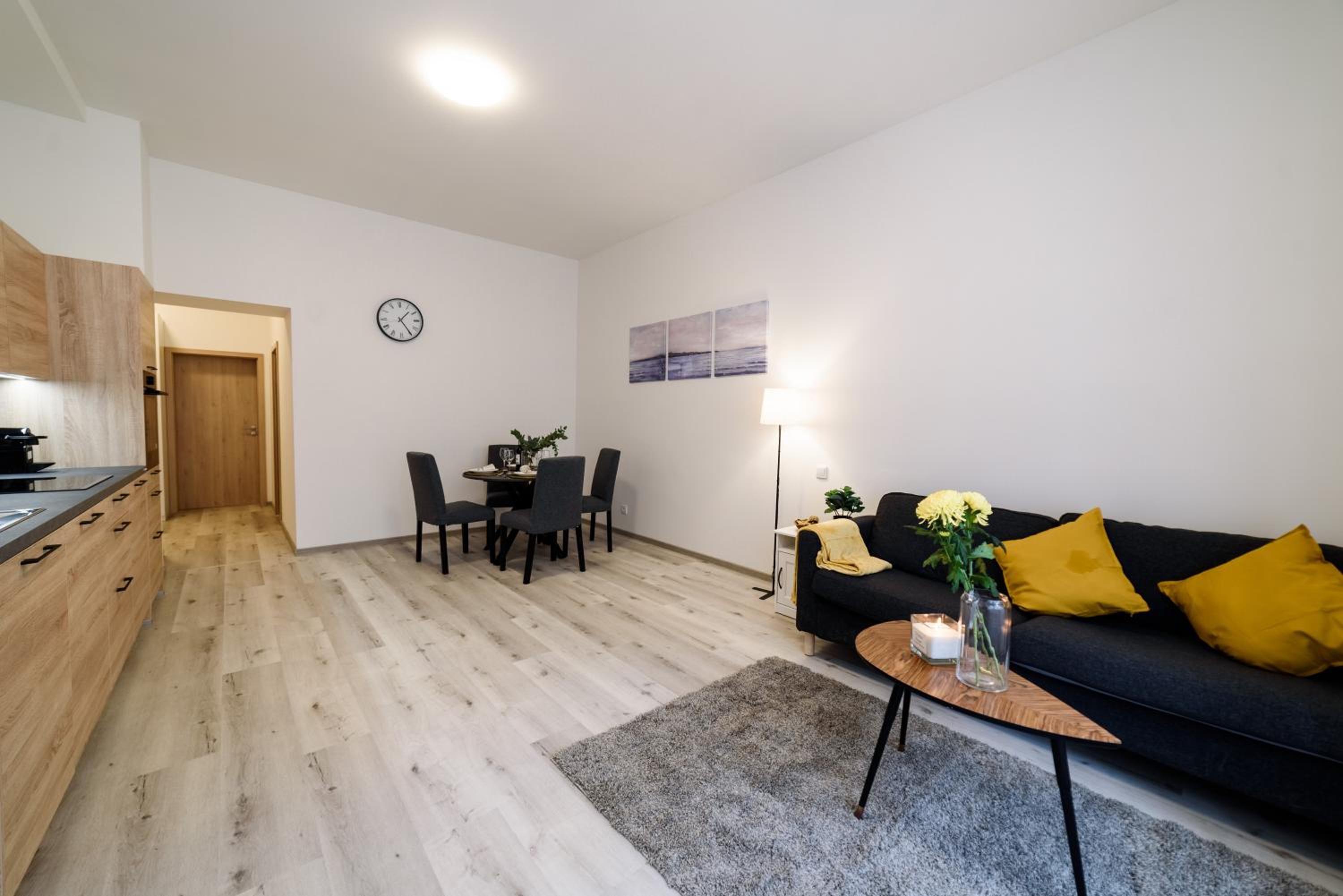 New apartments near Dancing house