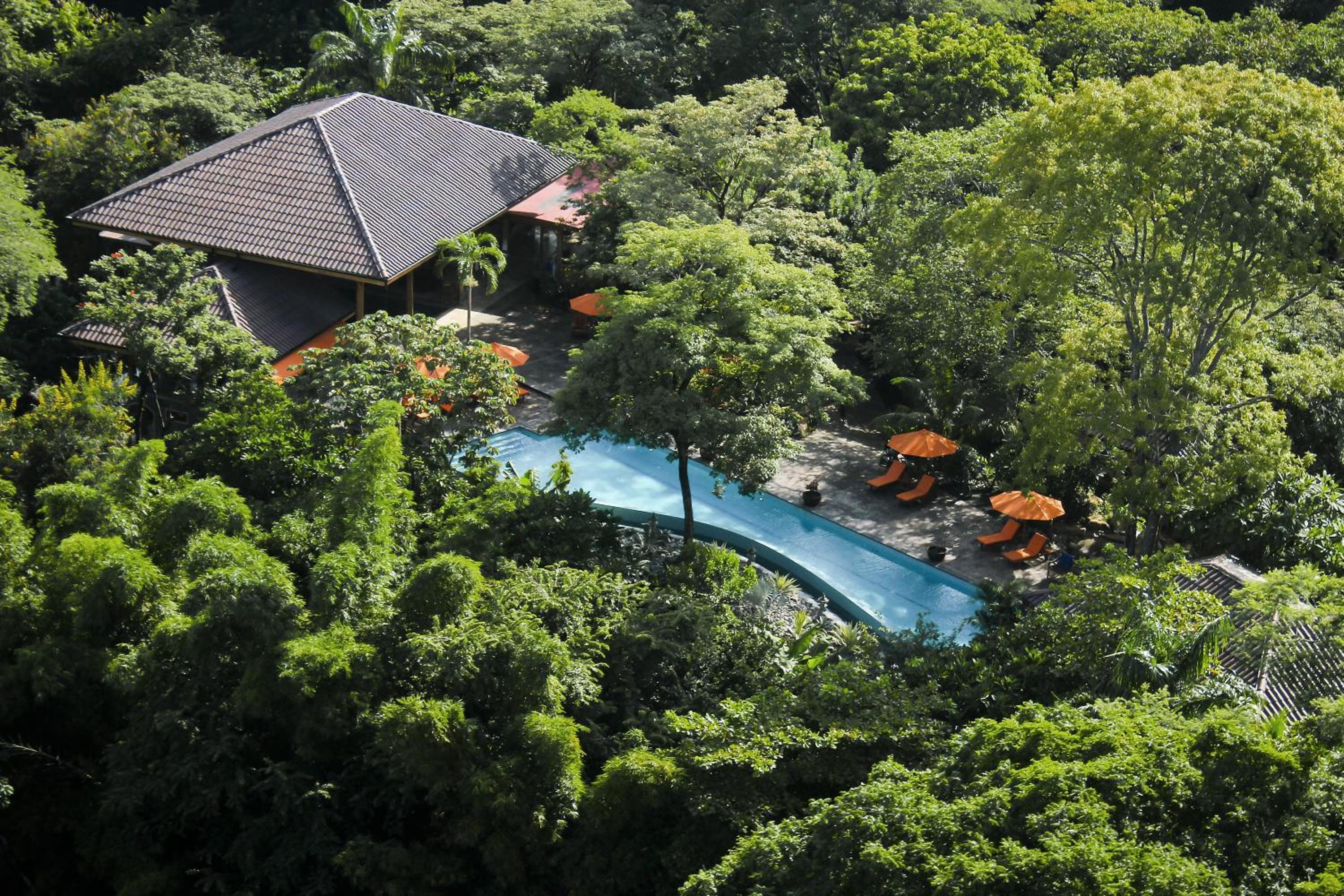 Bodhi Tree Yoga Resort