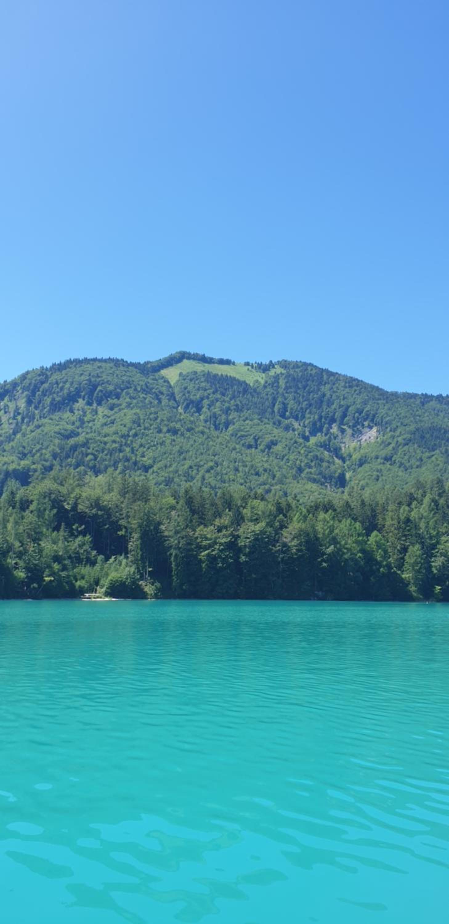 Ferienwohnung am Fuschlsee