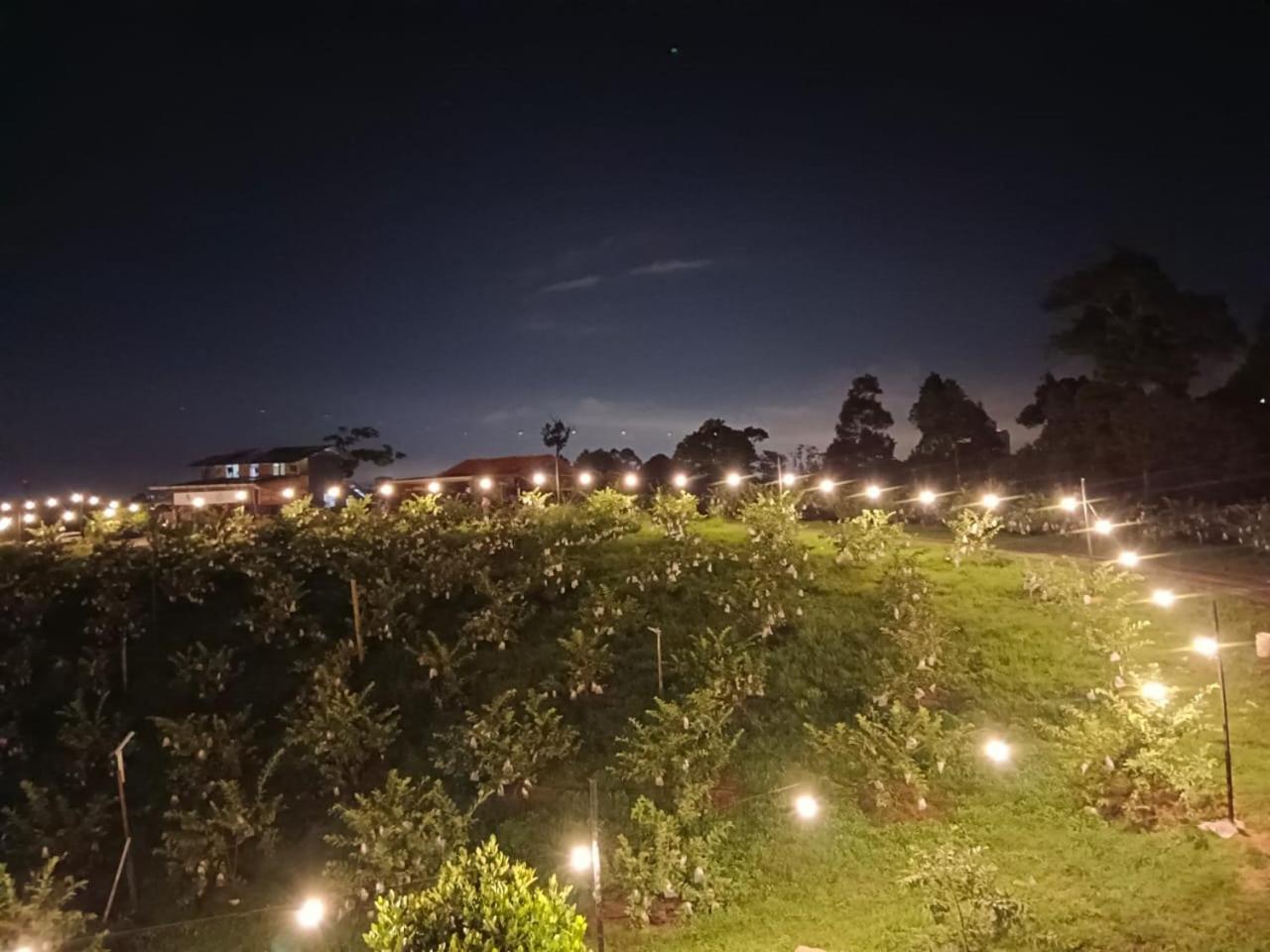 I Do Farmstay