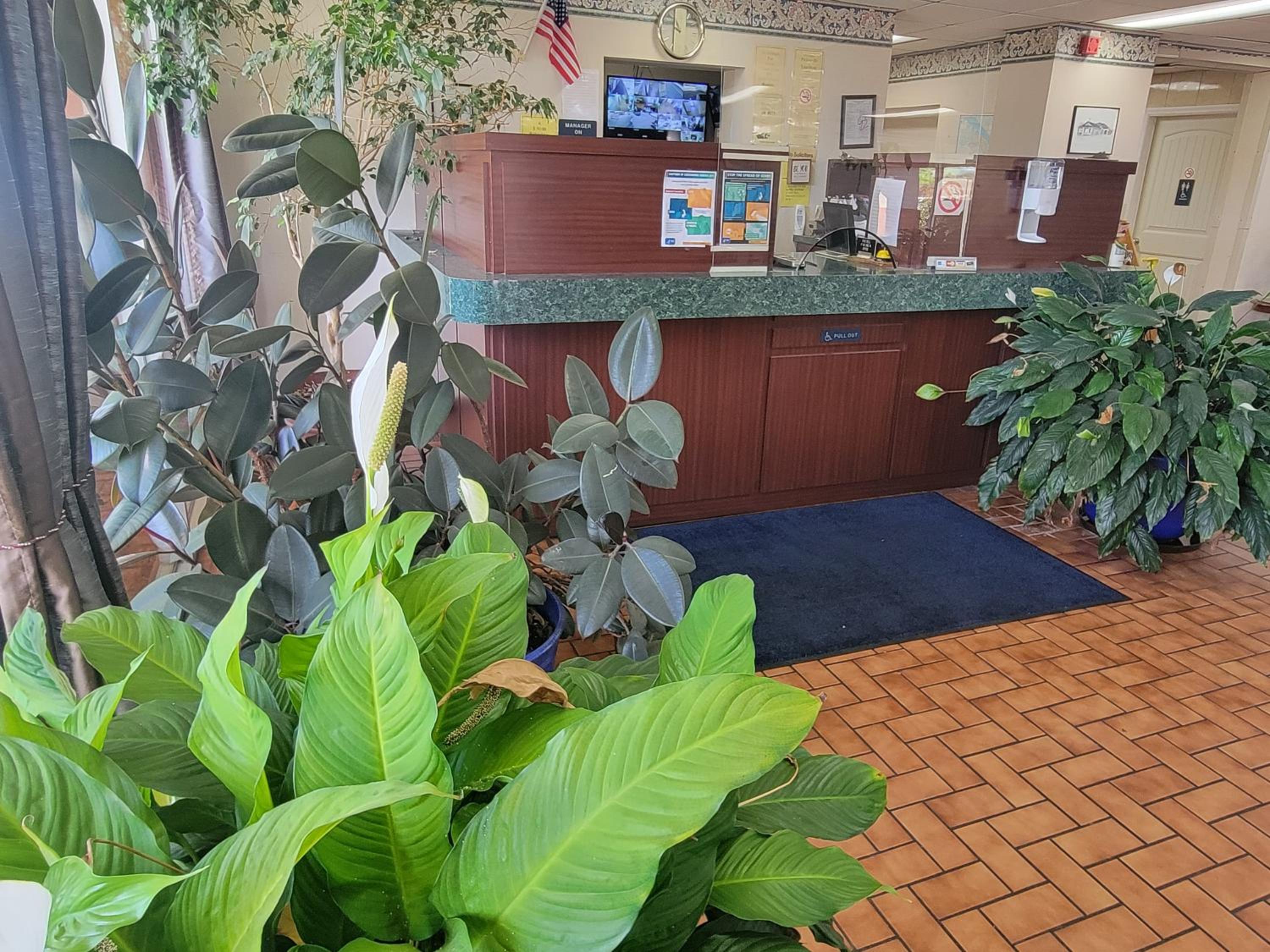 Decatur Vacations - Studio 9 Inn  Suites - Property Image 19