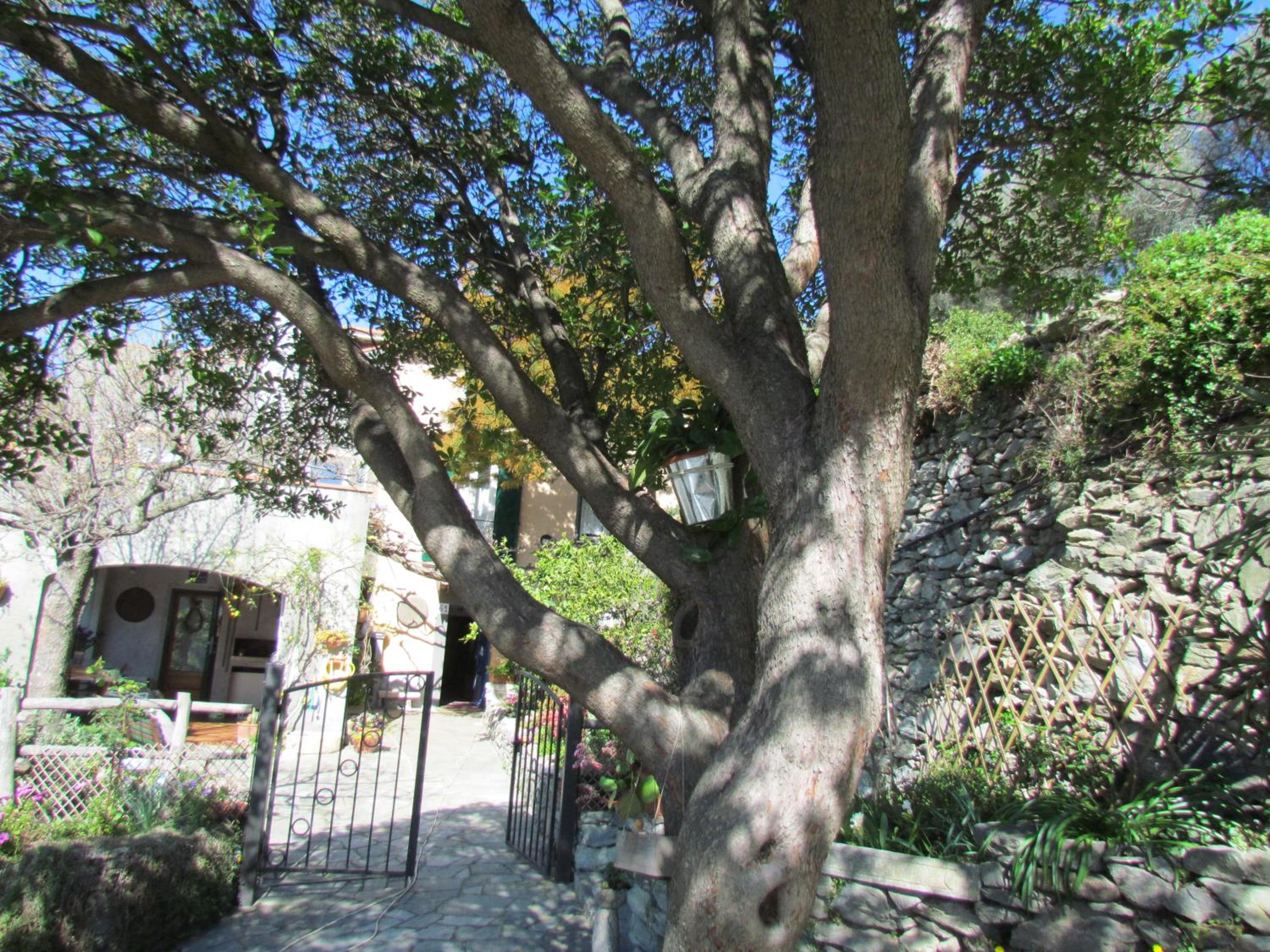 Photo 39
