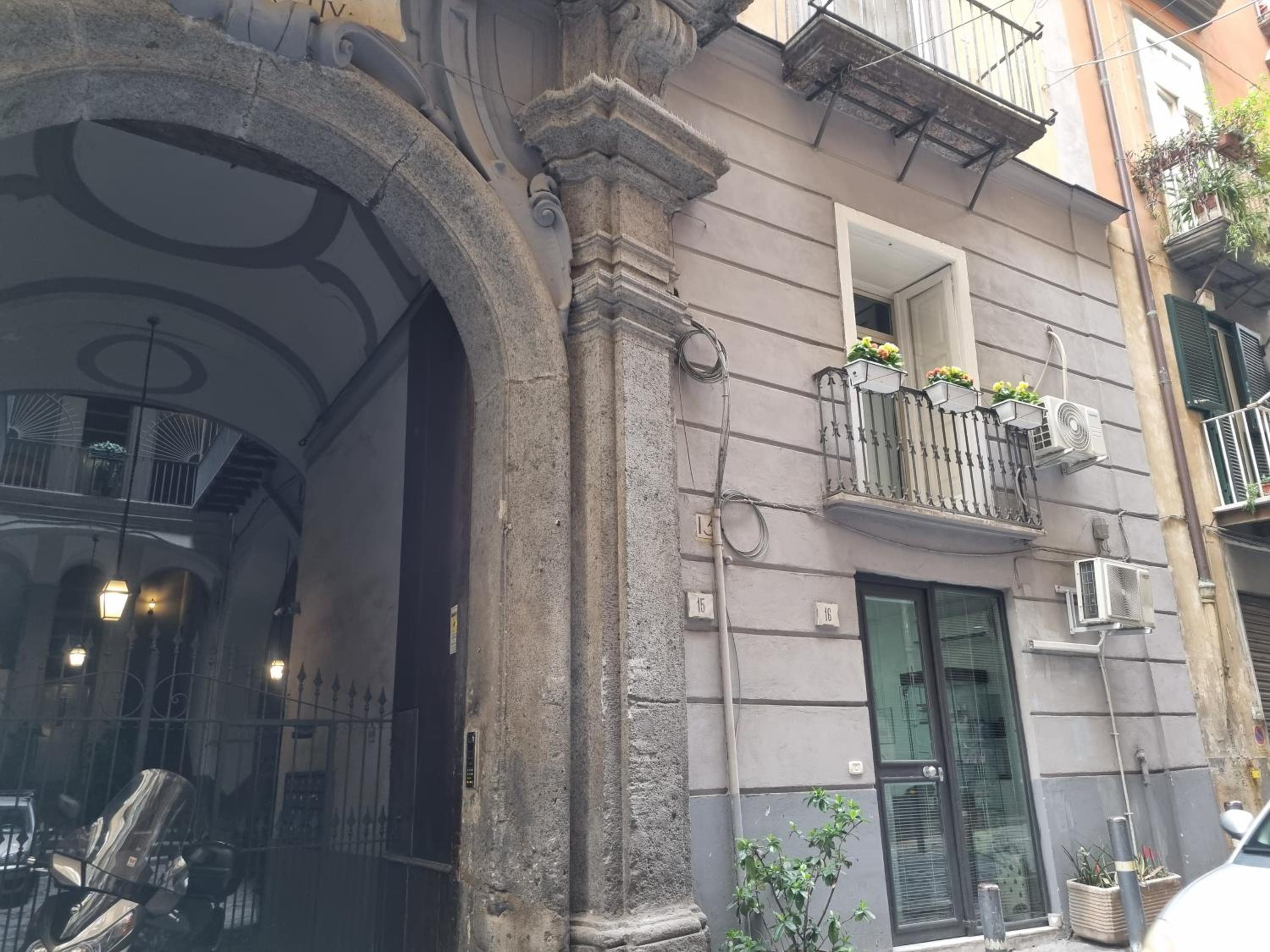 majorana home