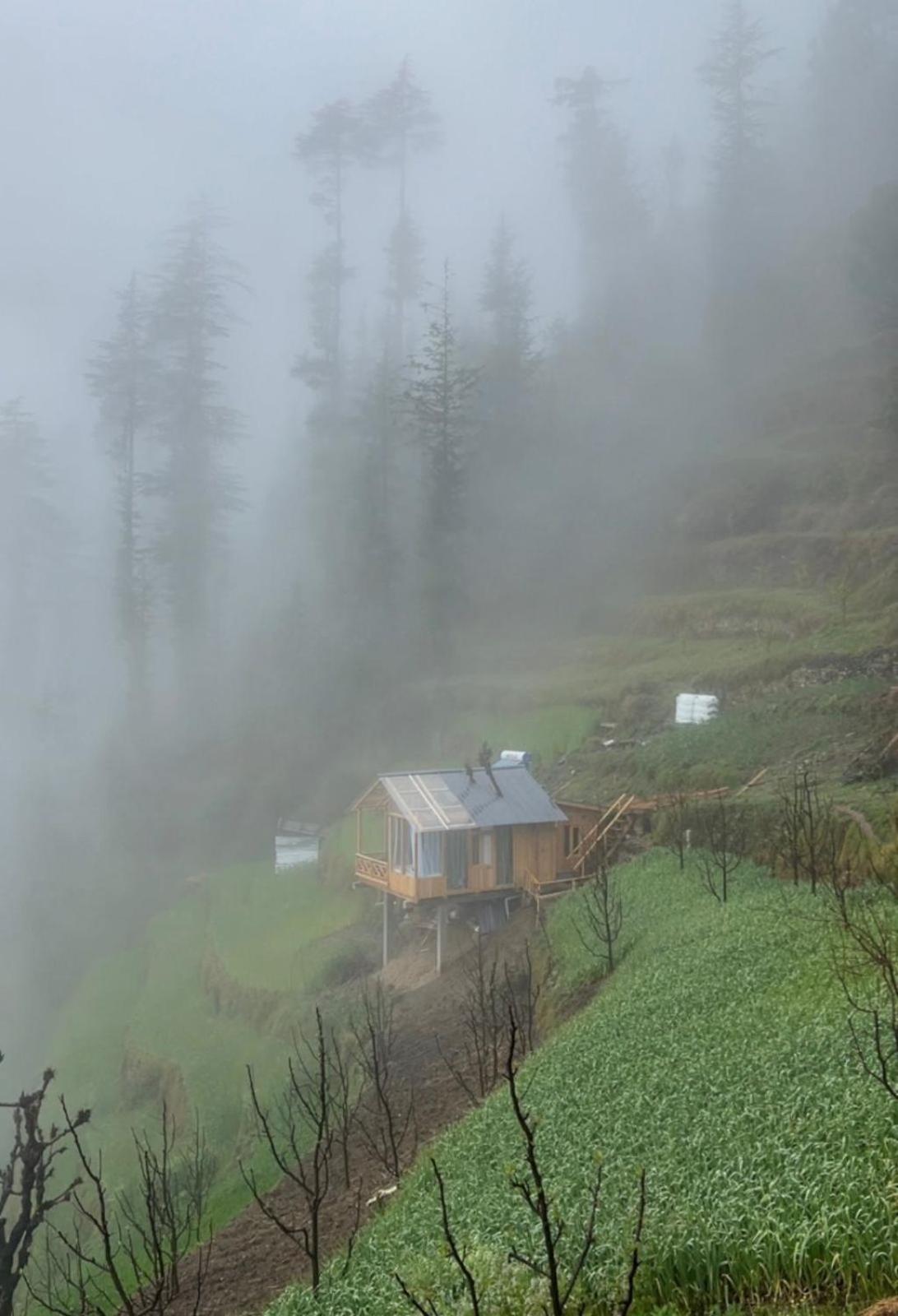 Cloudwalk Treehouse