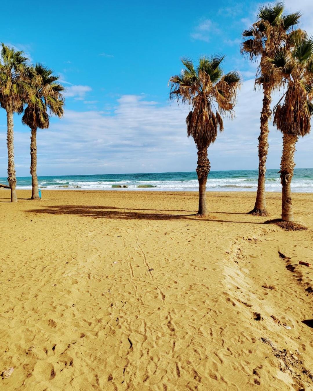 Apartament Apia La Mata 300m to the beach and beautiful swimming pool view 5